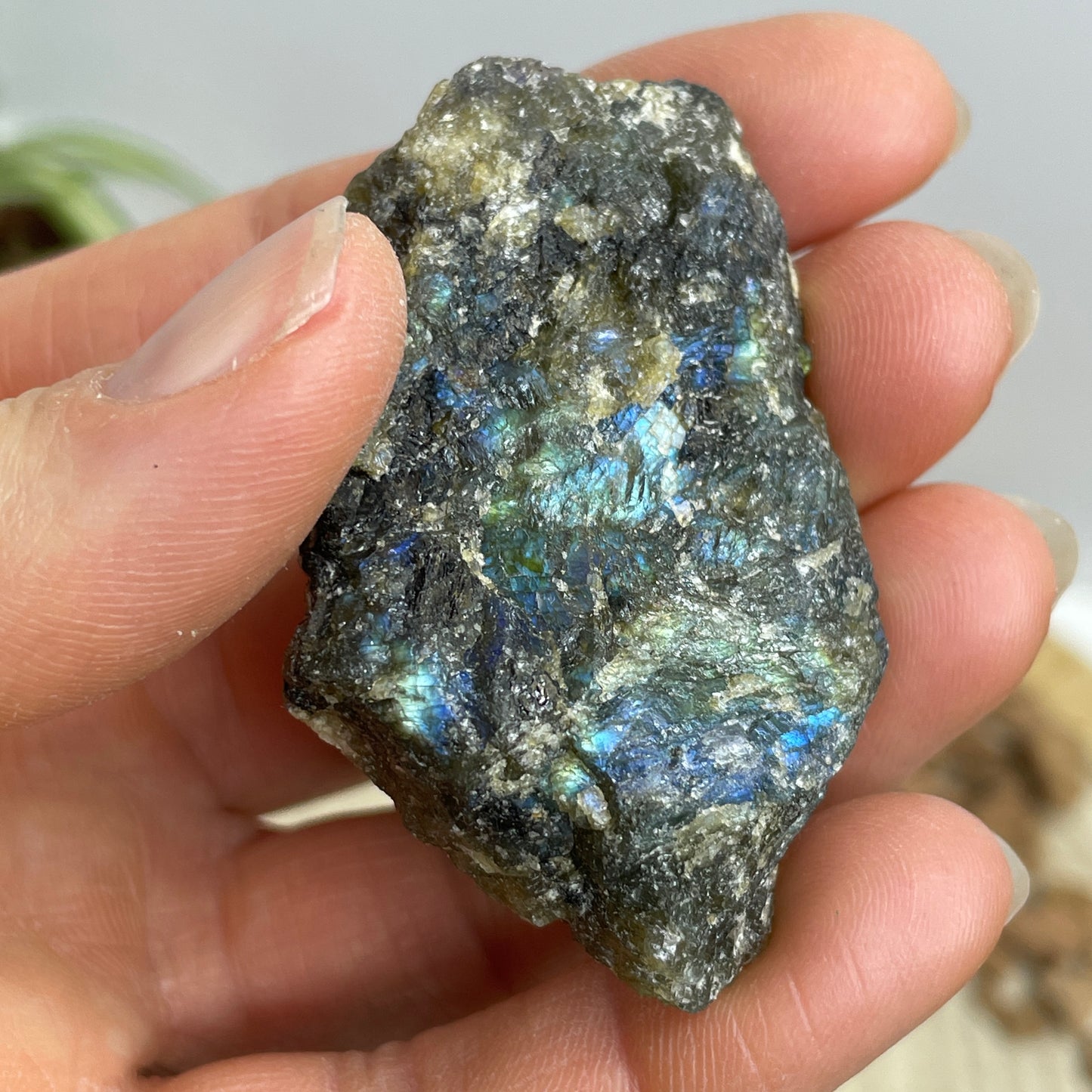 Labradoriet ruw/gepolijst nr.8