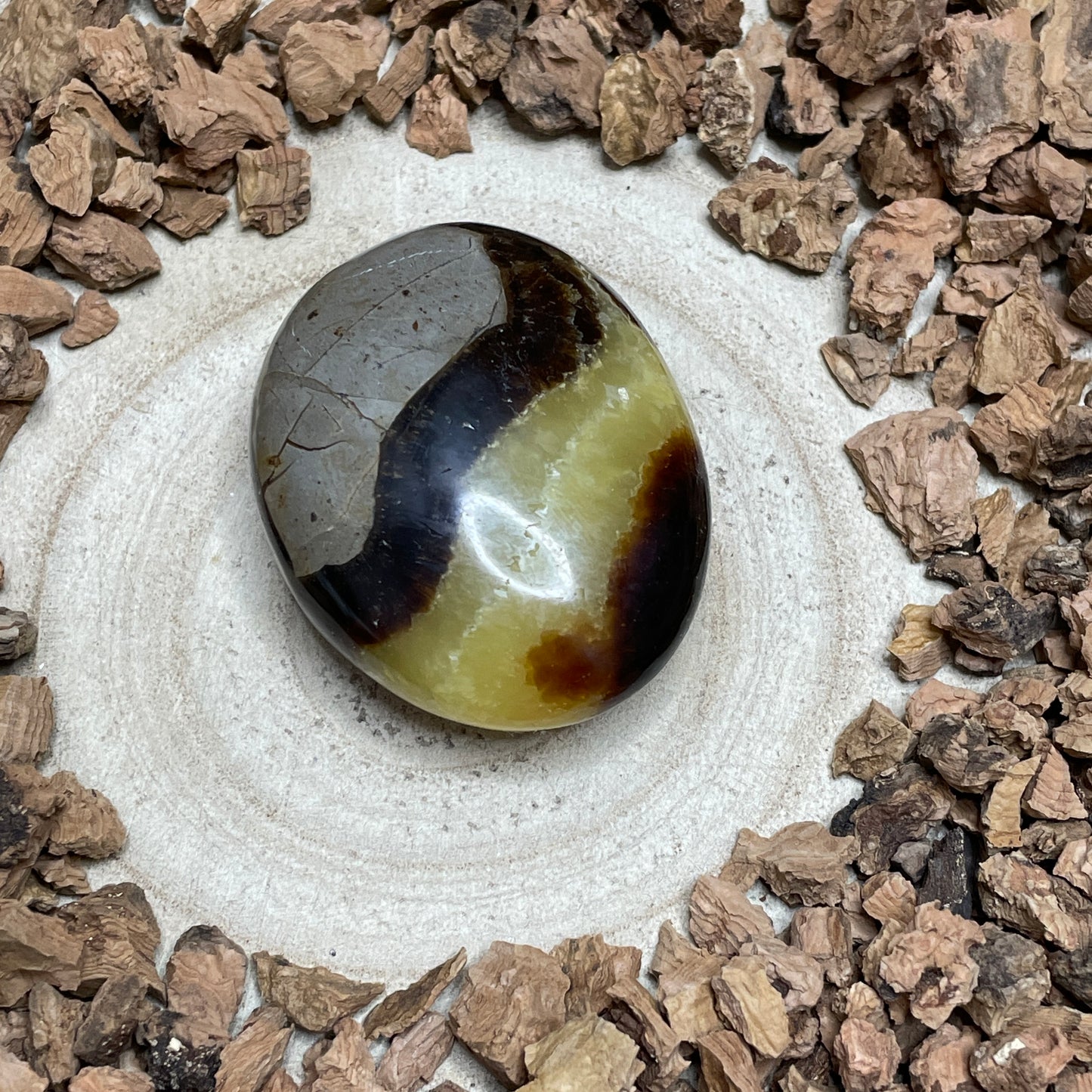 Septarie handsteen 5