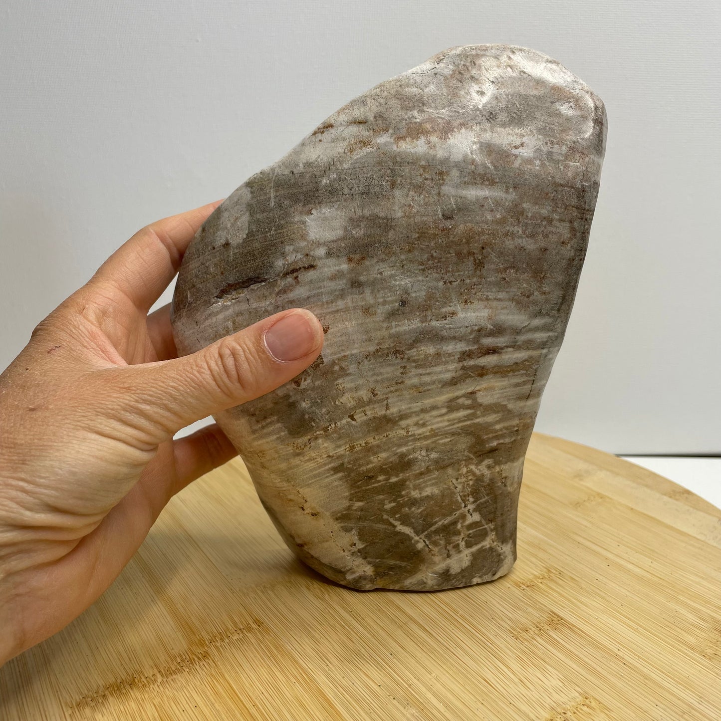 Versteend hout sculptuur nr.3
