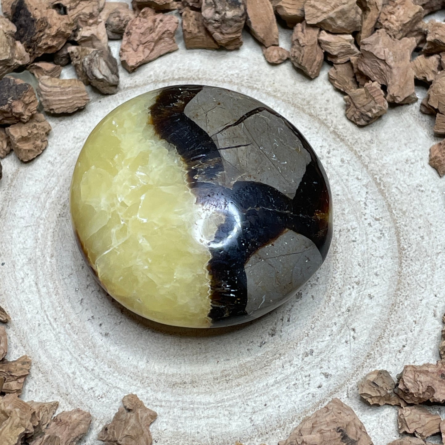 Septarie handsteen 3