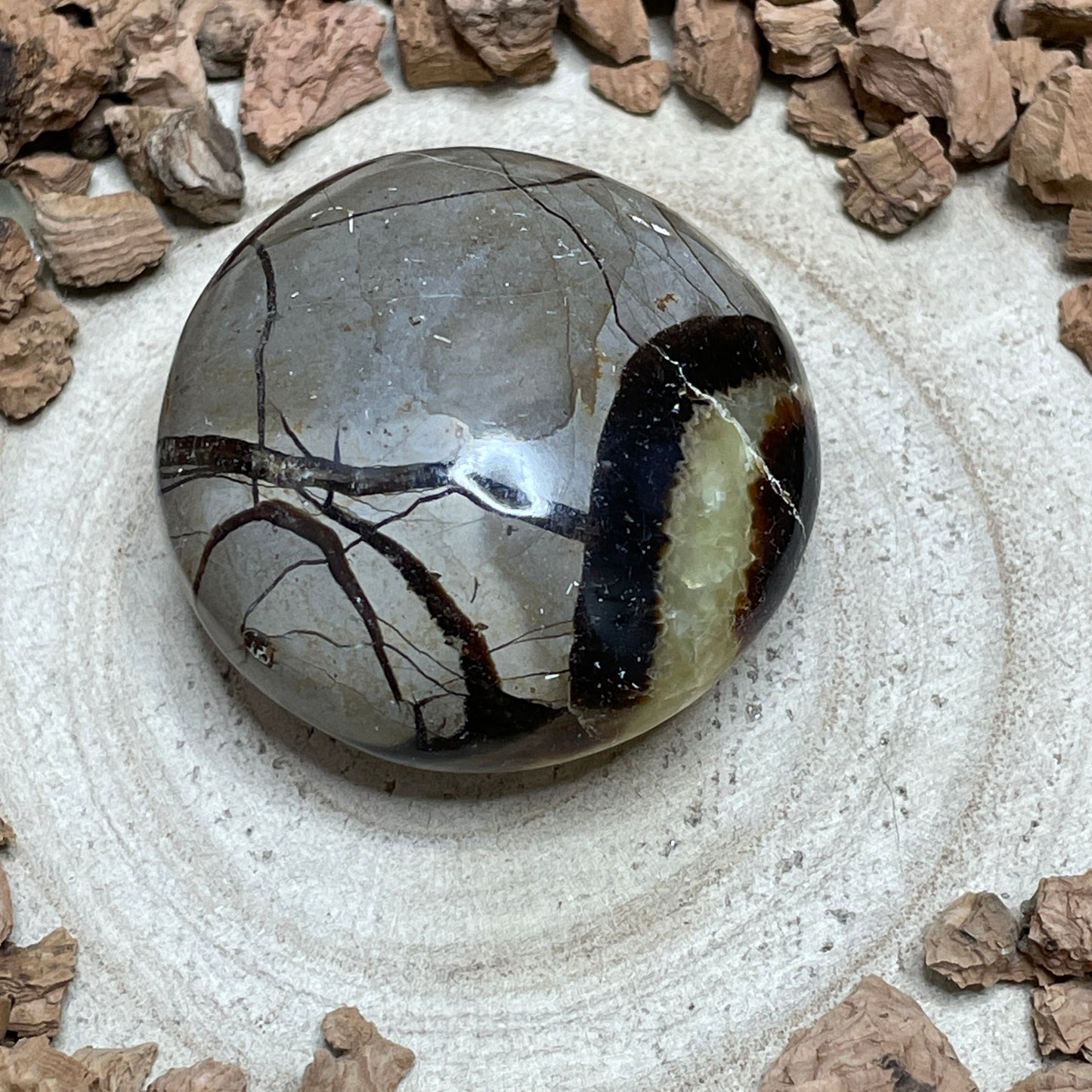 Septarie handsteen 4