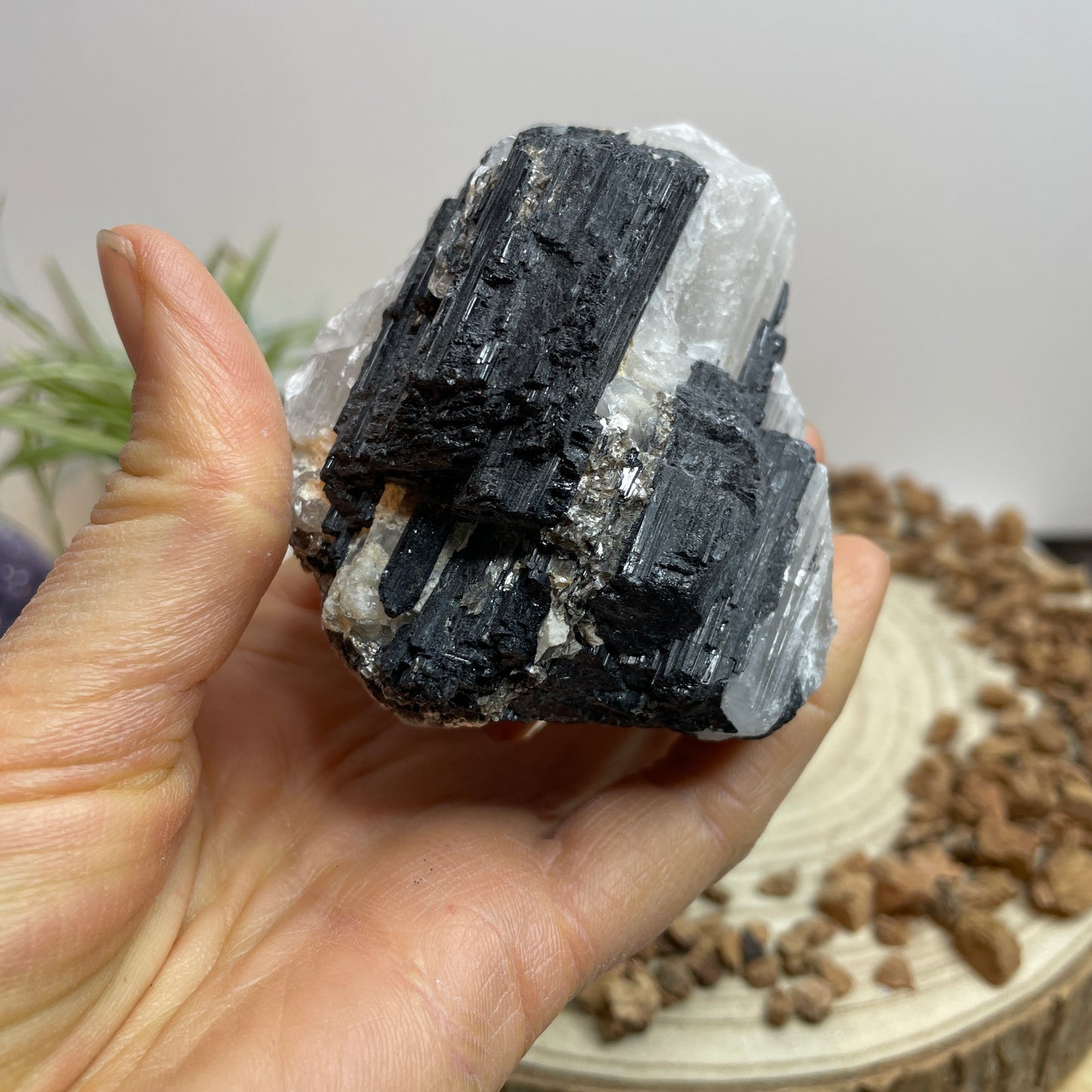 Zwarte Toermalijn in kwarts nr.2