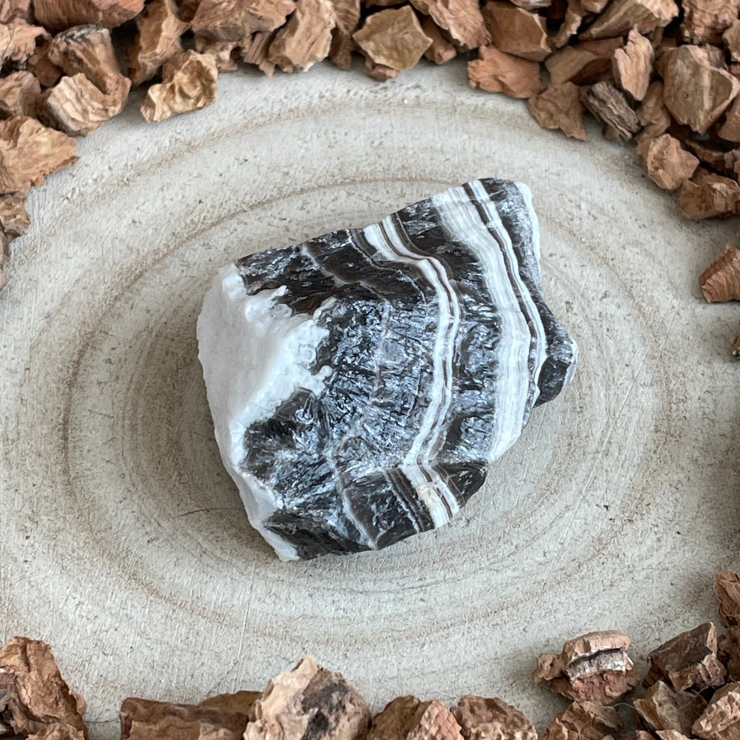 Zebra Calciet ruw nr.22