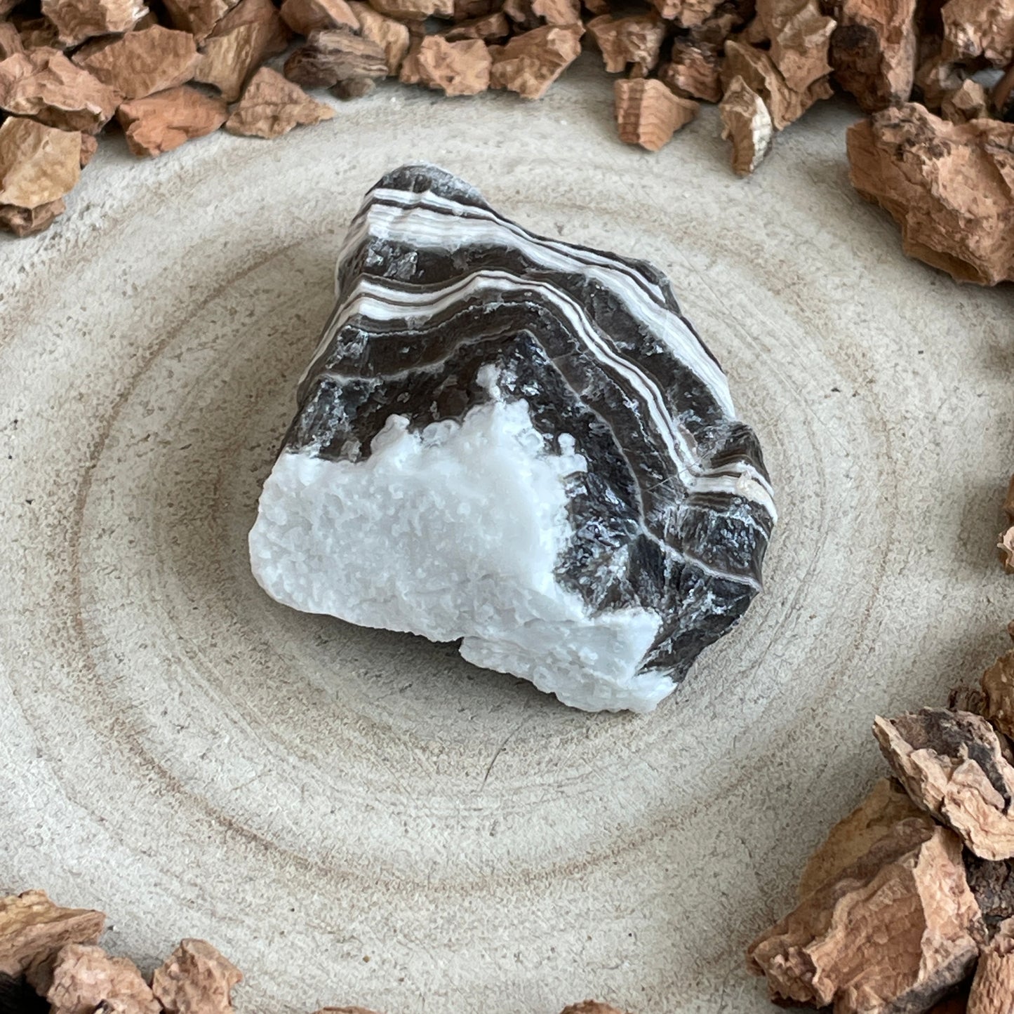 Zebra Calciet ruw nr.22