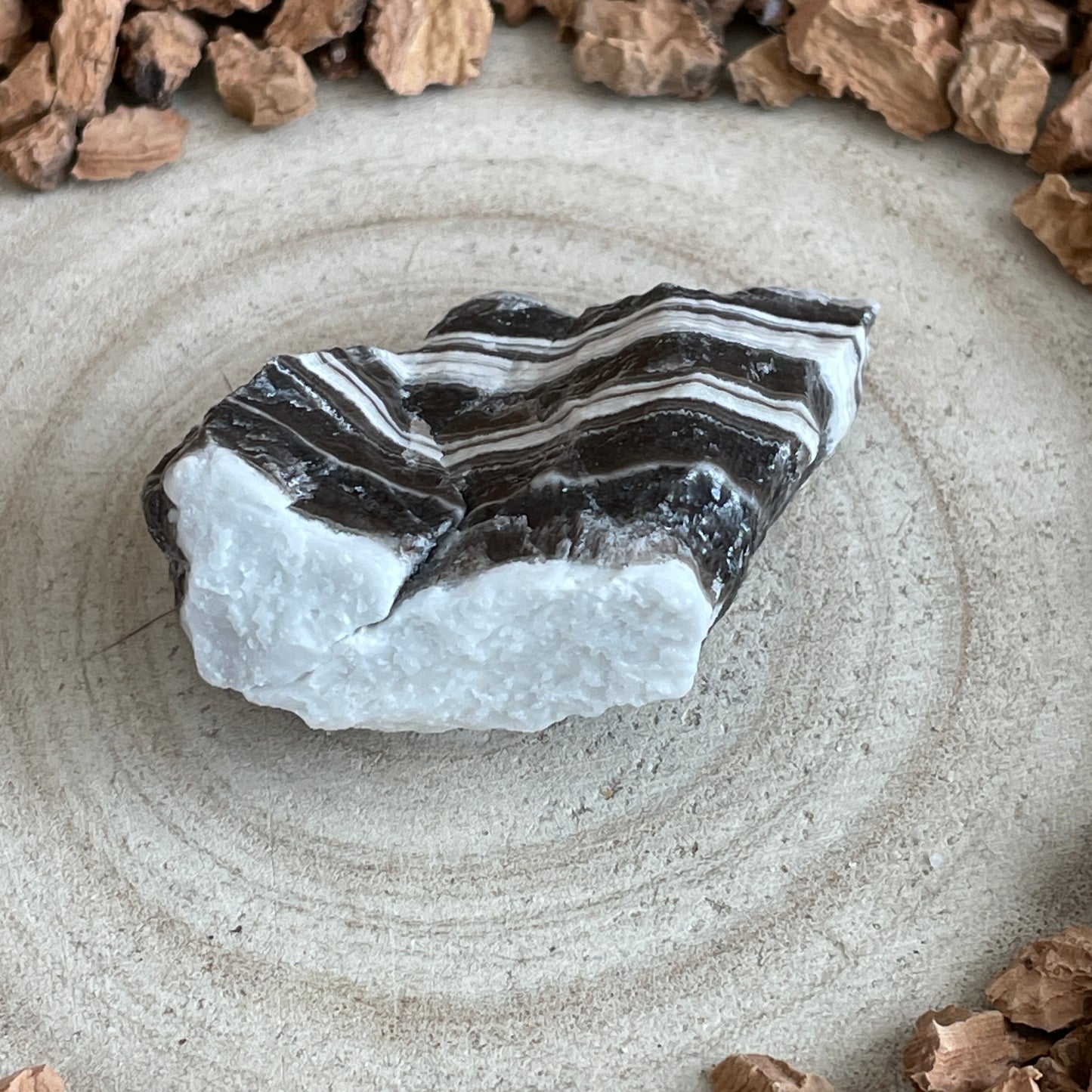 Zebra Calciet ruw nr.22