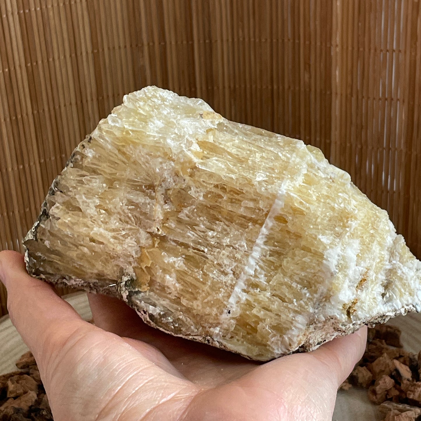 Champagne Calciet ruw