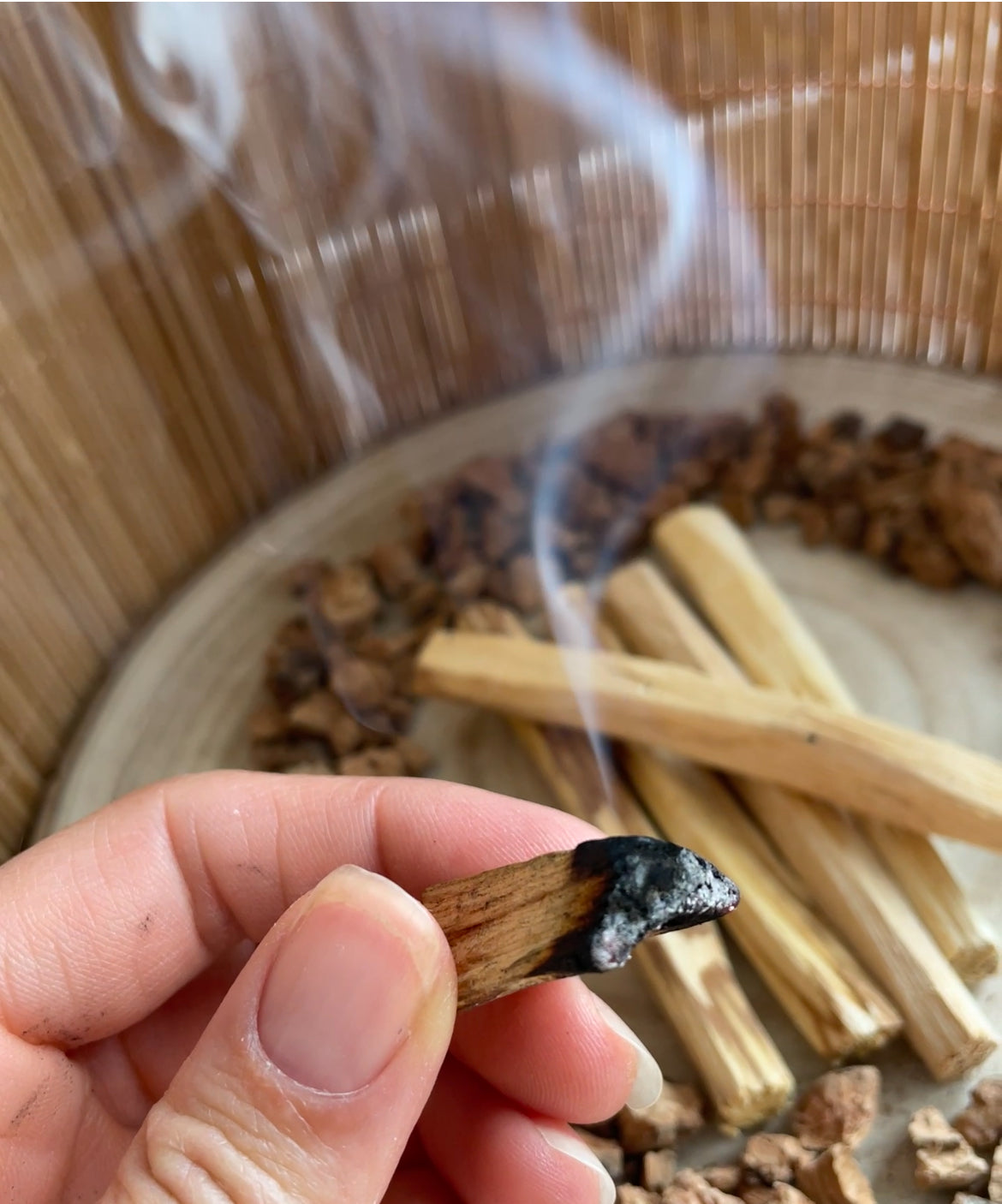 Palo Santo Hout - 1 stokje