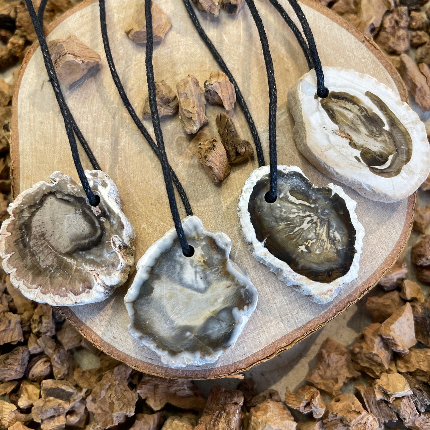 Versteend hout schijfje hanger