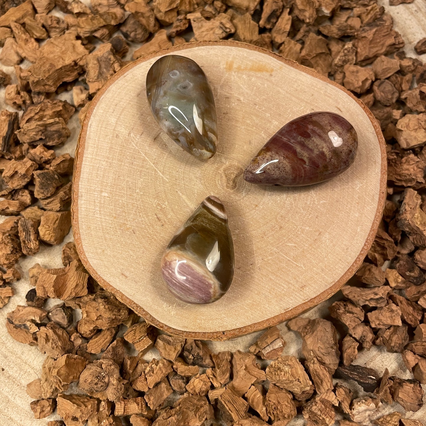 Versteend hout hanger