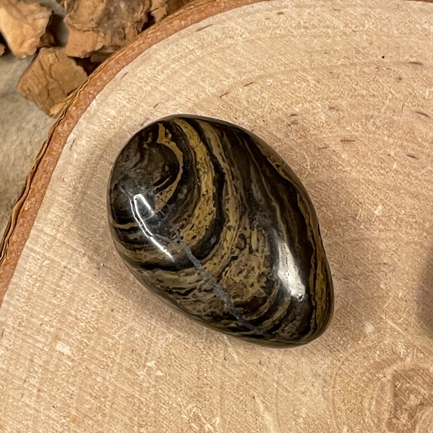 Stromatoliet hanger