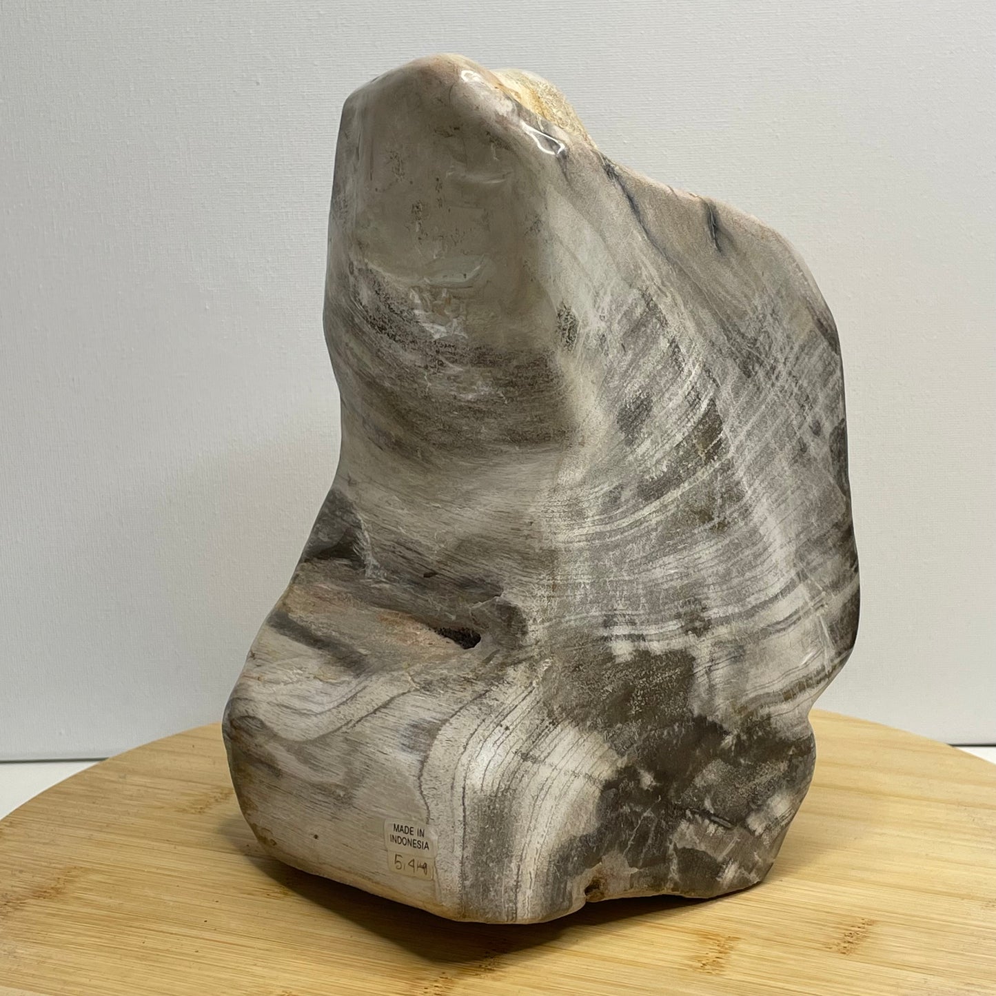 Versteend hout sculptuur nr.2