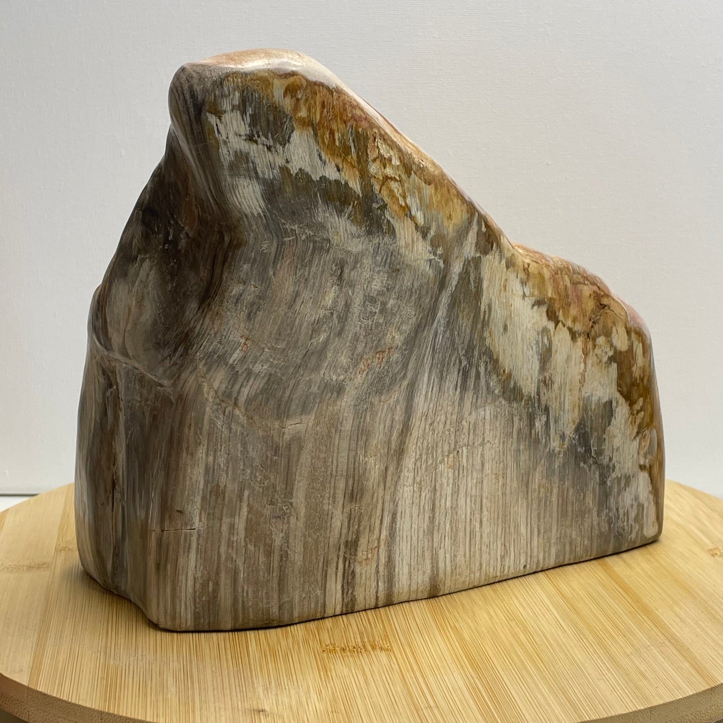 Versteend hout sculptuur nr.1