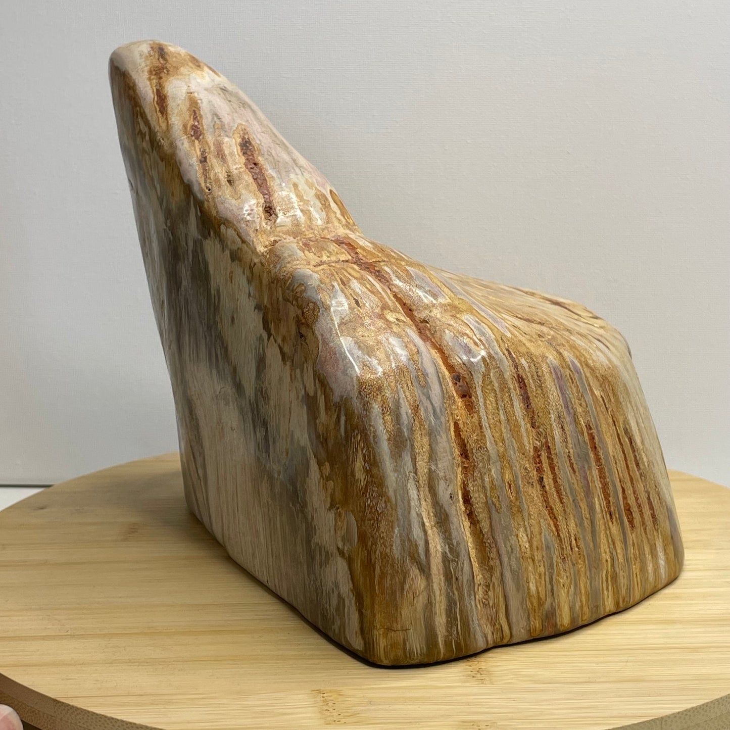 Versteend hout sculptuur nr.1