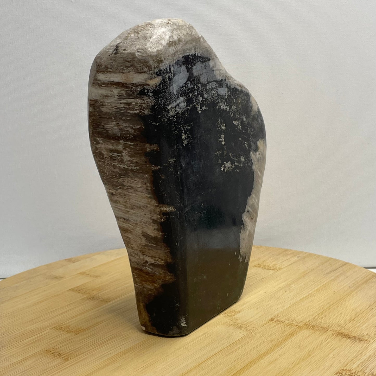 Versteend hout sculptuur nr.3