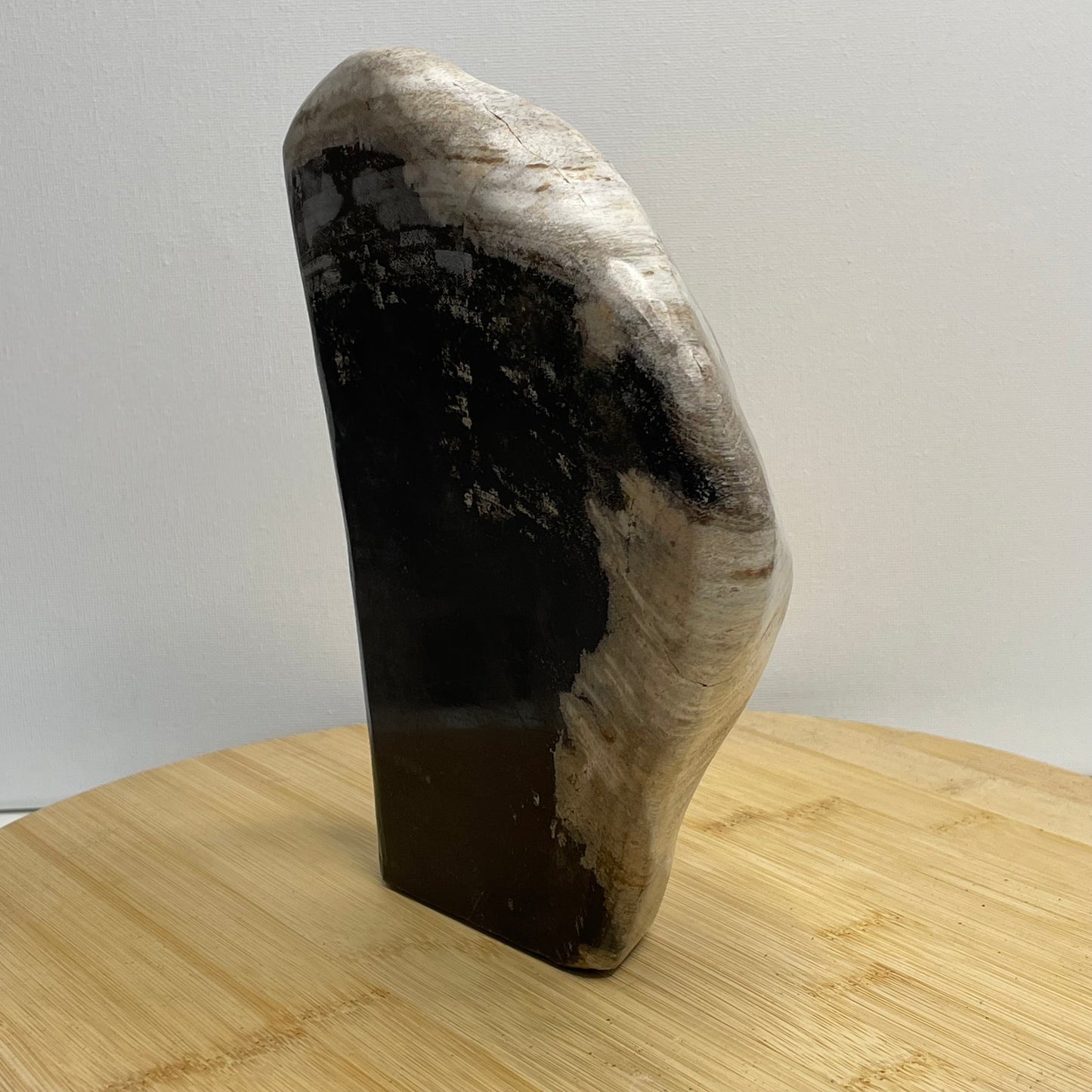 Versteend hout sculptuur nr.3