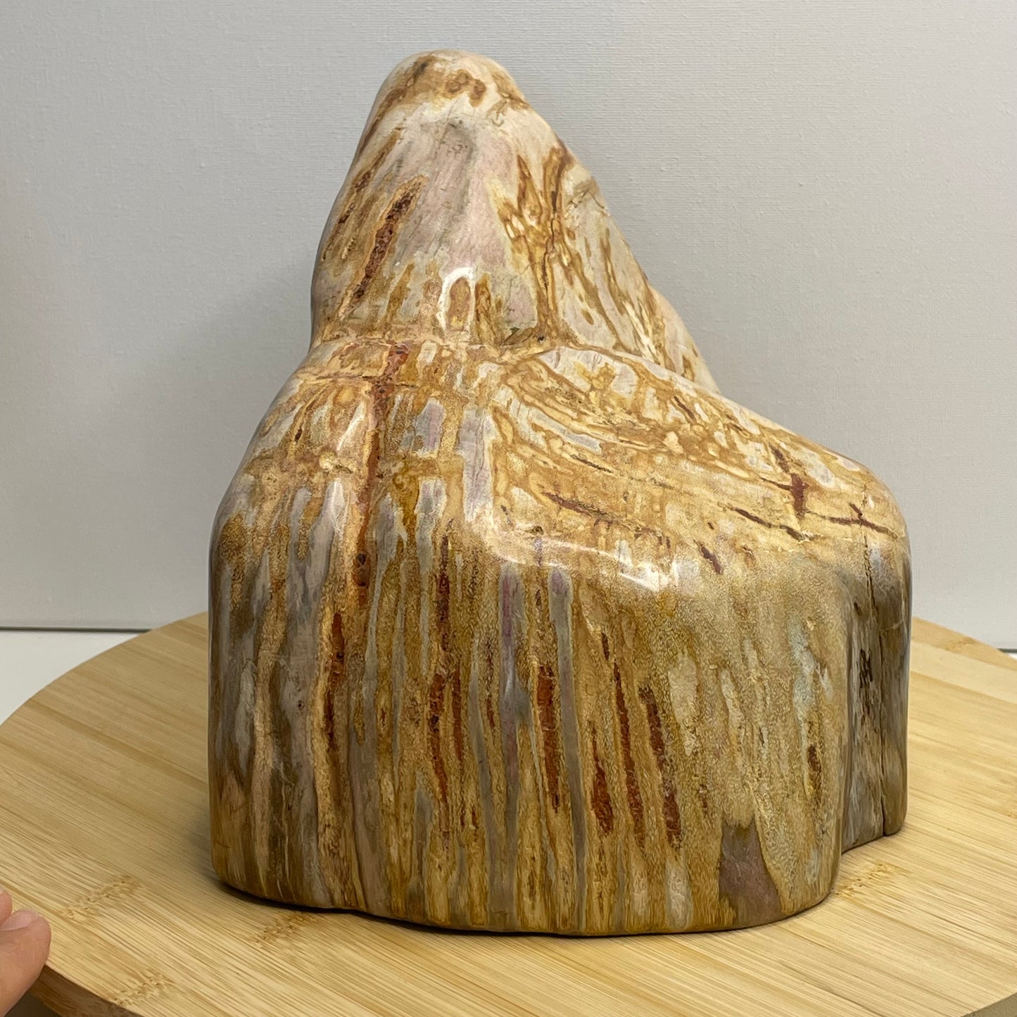 Versteend hout sculptuur nr.1