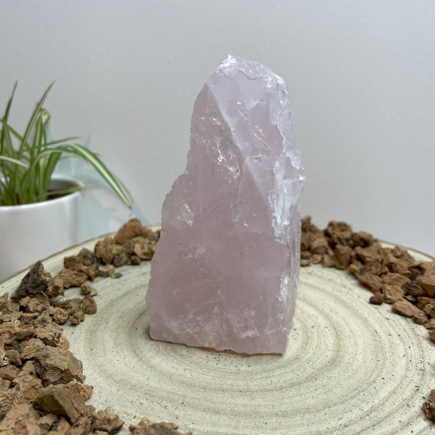 Rozenkwarts cut base nr.1