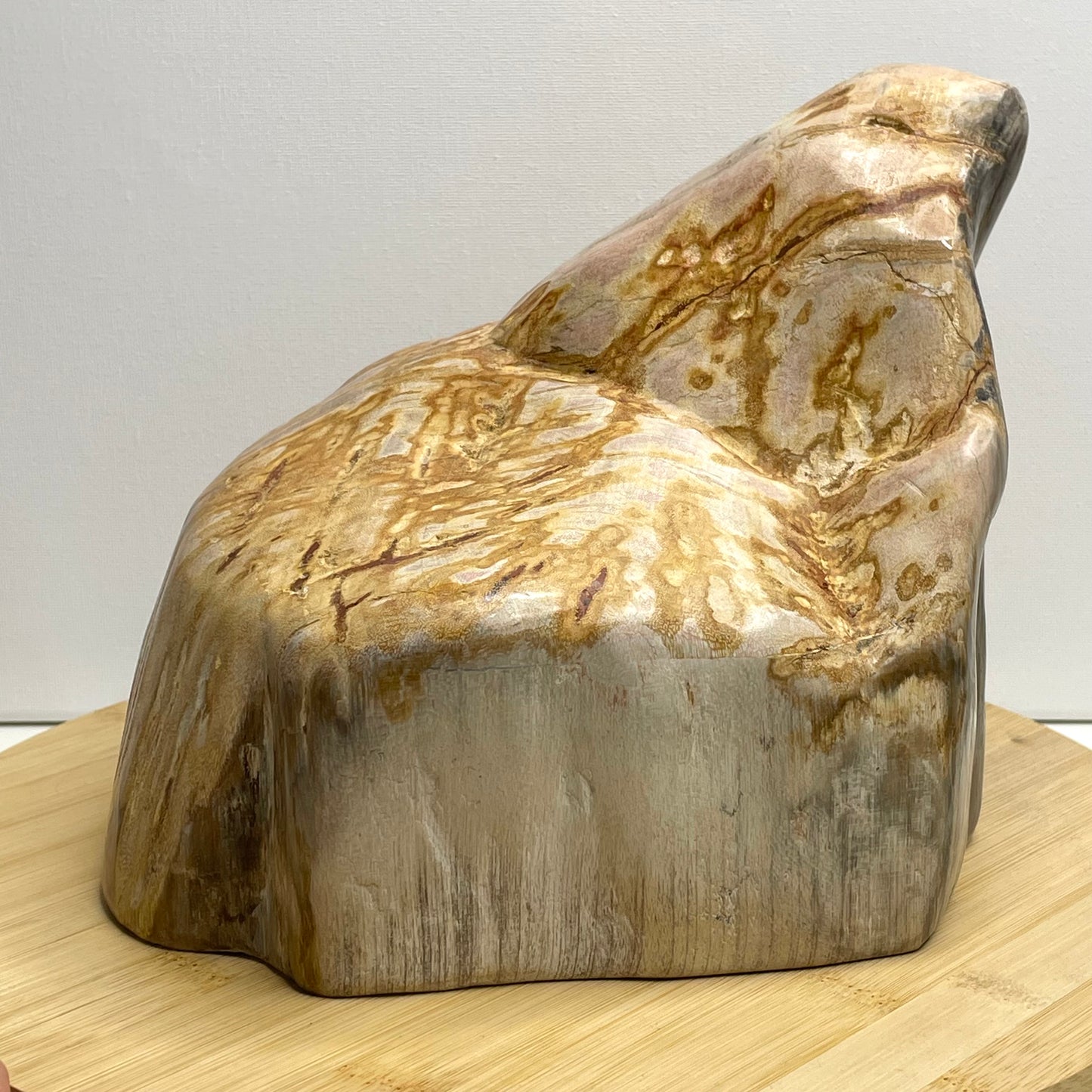 Versteend hout sculptuur nr.1
