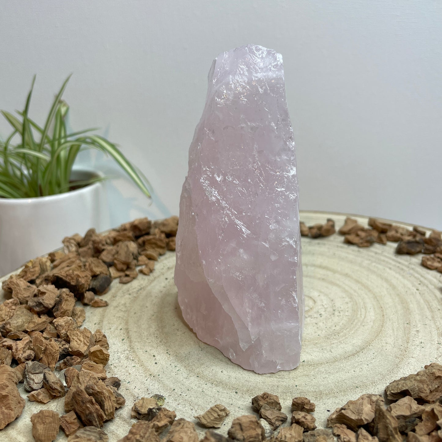 Rozenkwarts cut base nr.1