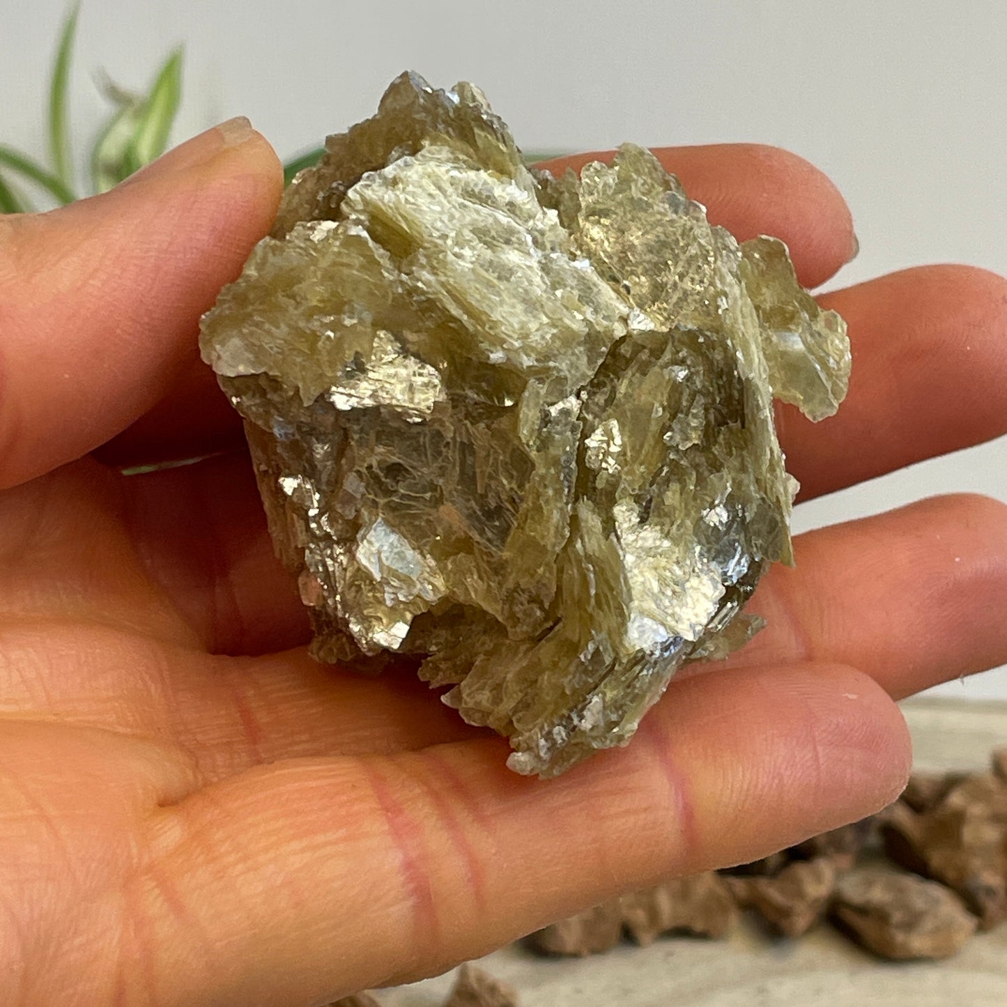 Mica / Muscoviet nr.3