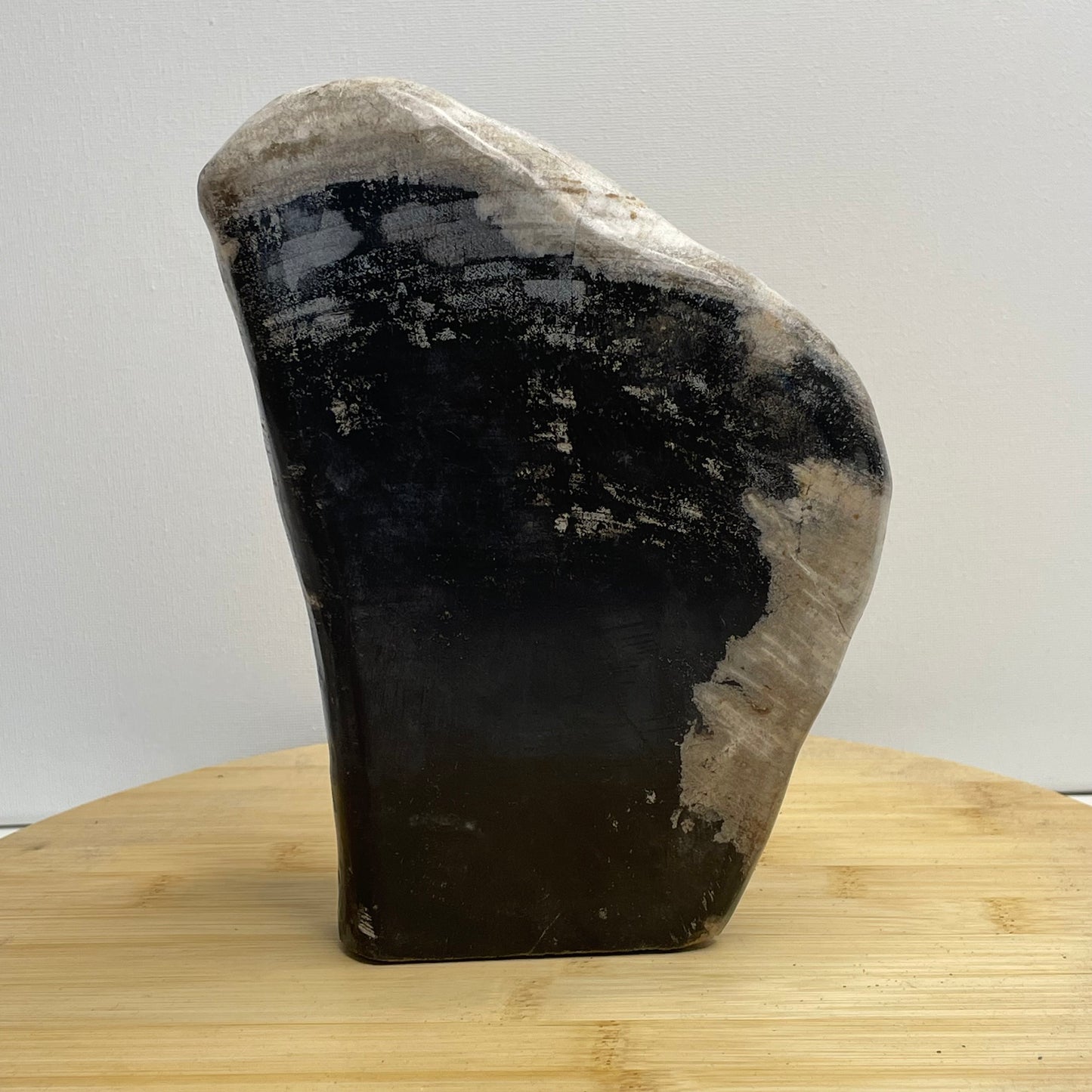 Versteend hout sculptuur nr.3