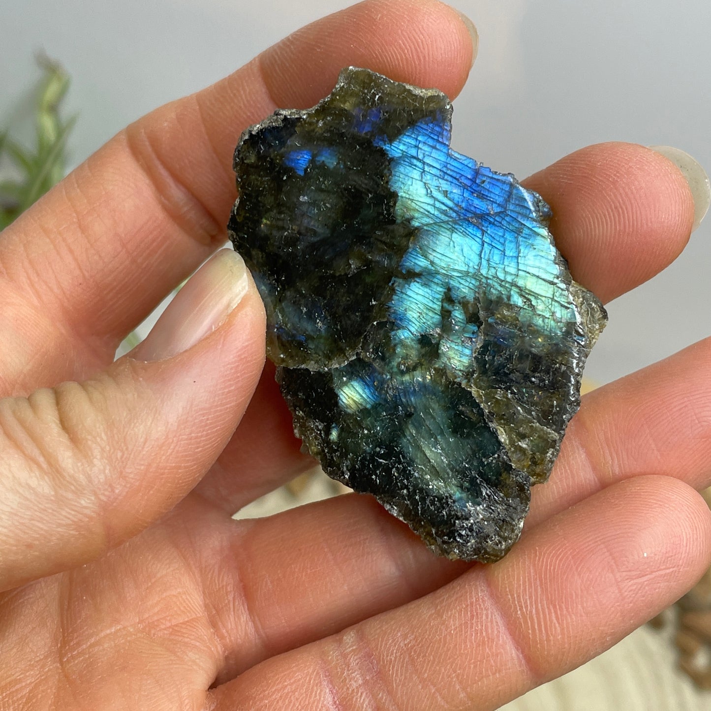 Labradoriet ruw/gepolijst nr.8