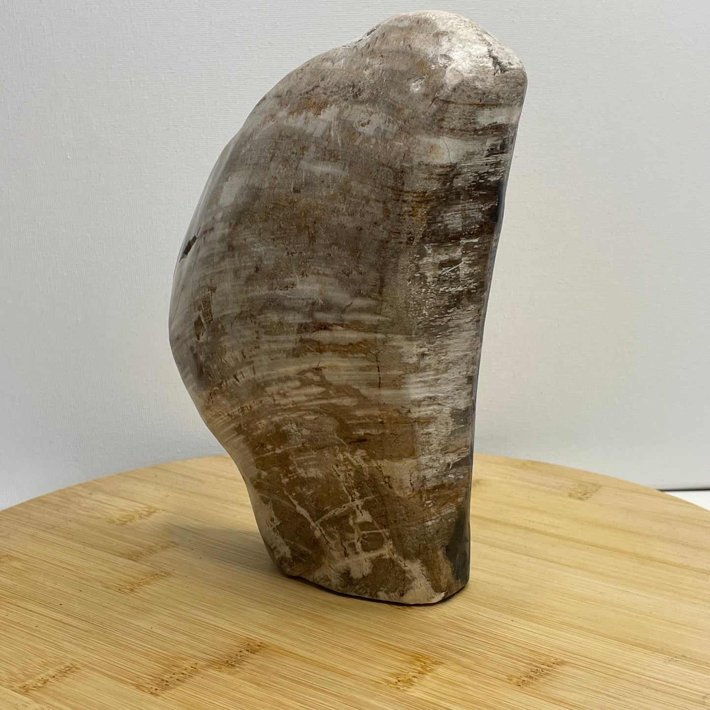 Versteend hout sculptuur nr.3