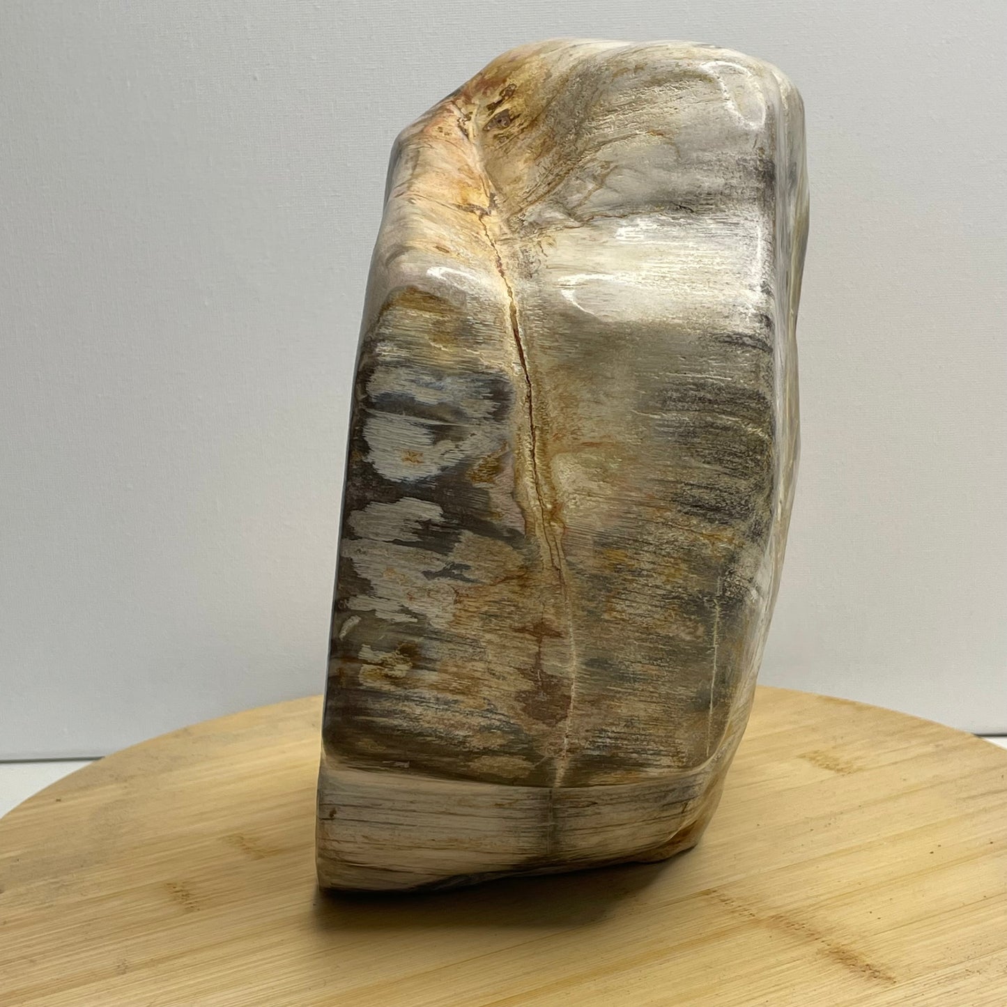 Versteend hout sculptuur nr.2