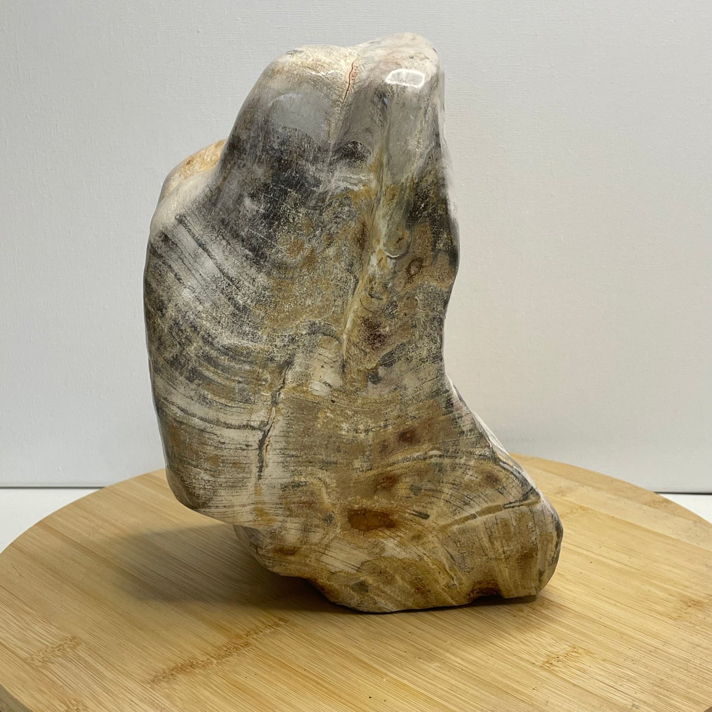 Versteend hout sculptuur nr.2