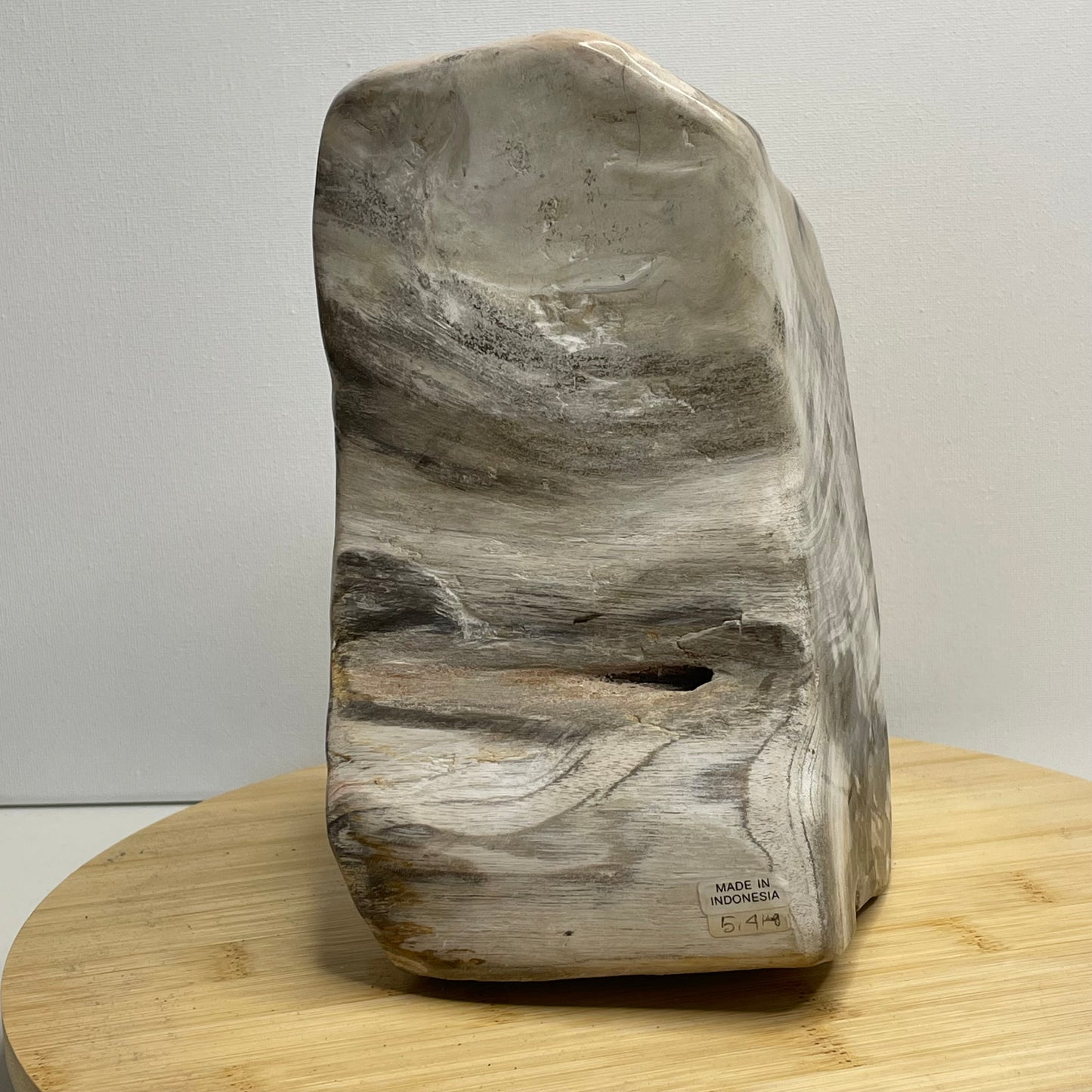 Versteend hout sculptuur nr.2