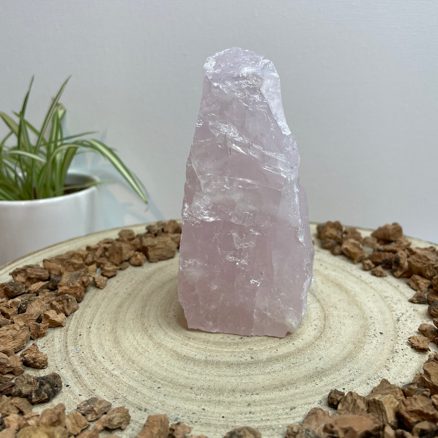 Rozenkwarts cut base nr.1