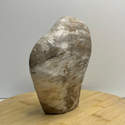 Versteend hout sculptuur nr.3
