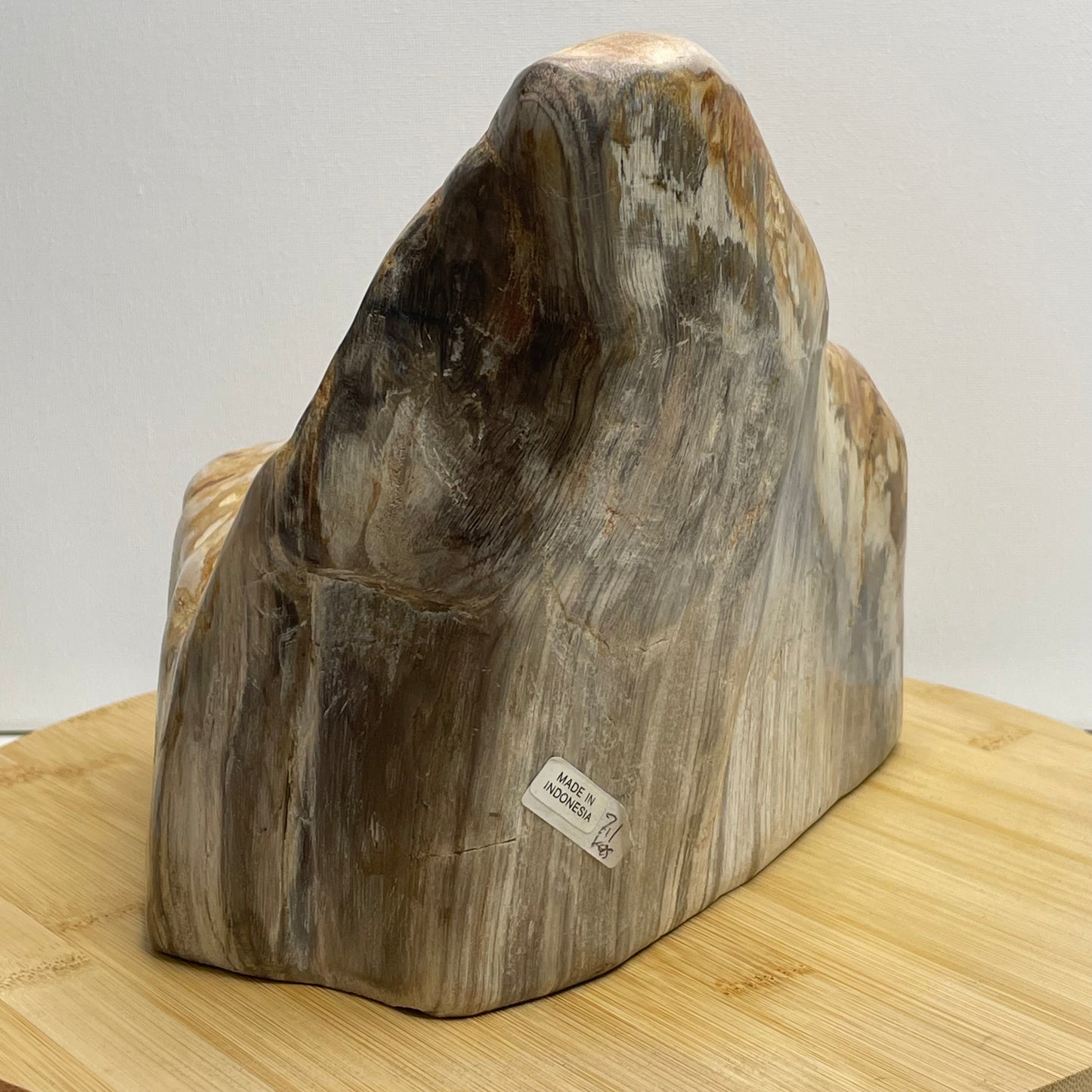 Versteend hout sculptuur nr.1