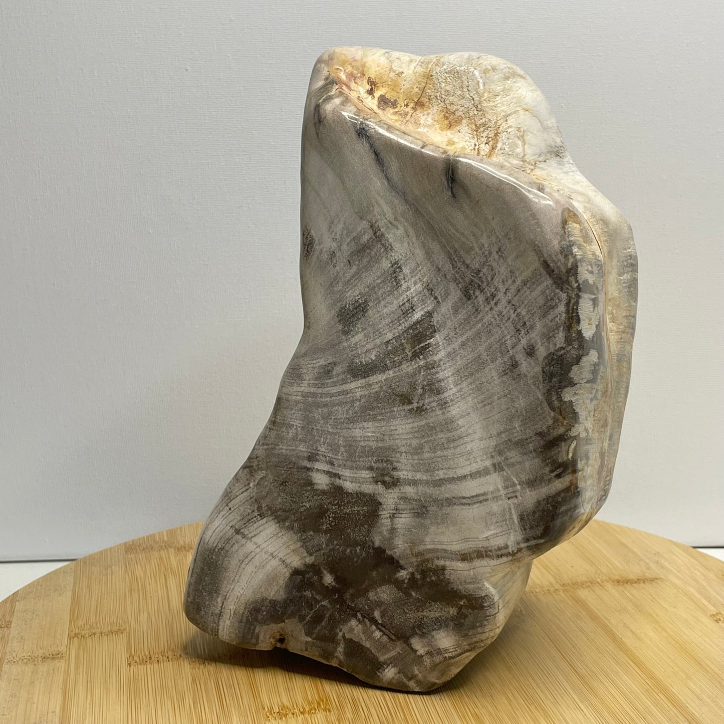Versteend hout sculptuur nr.2