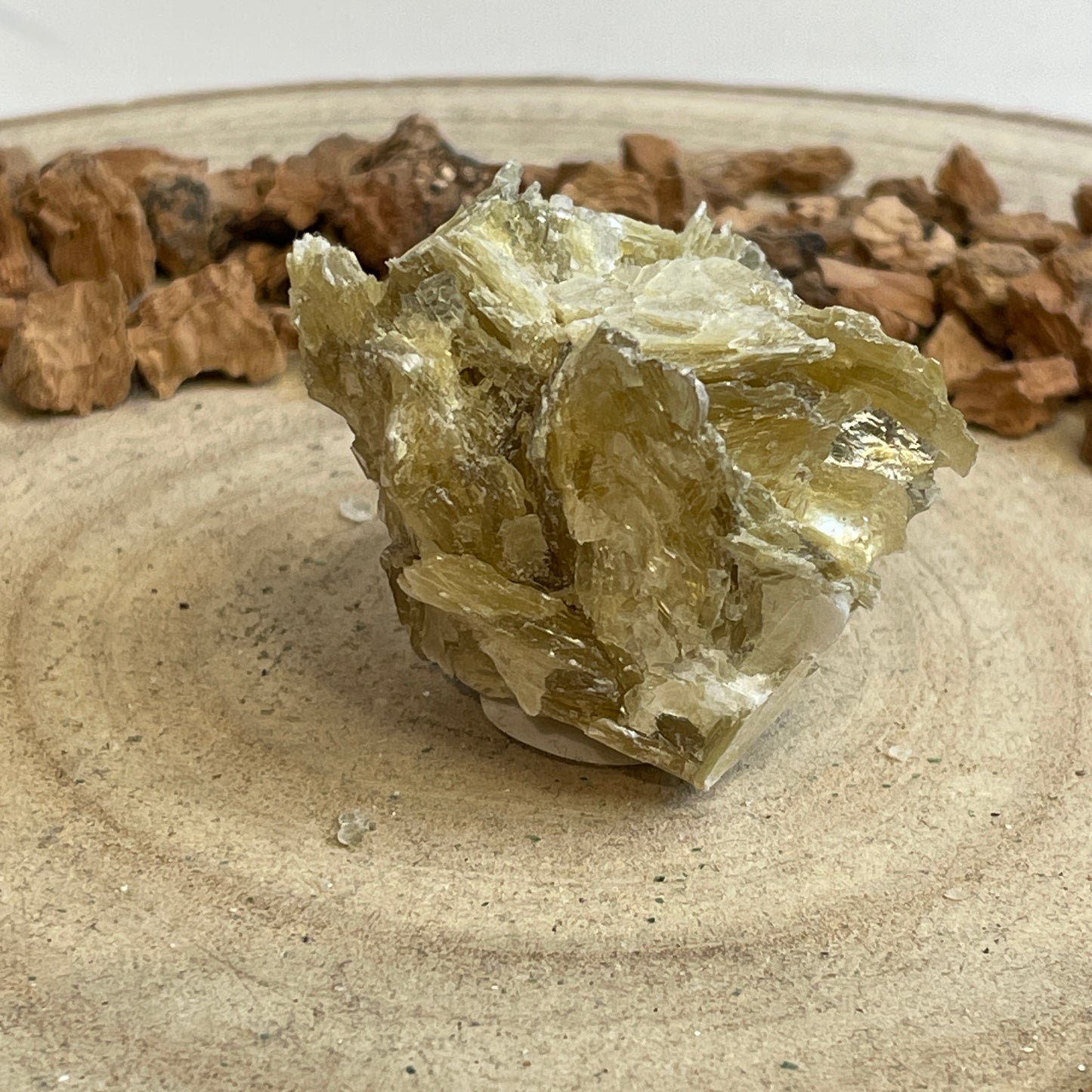 Mica / Muscoviet nr.3