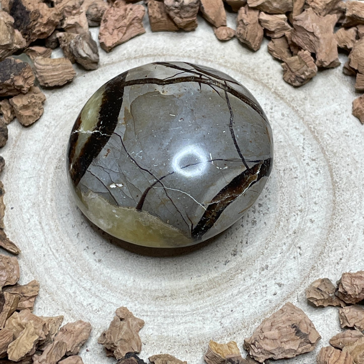 Septarie handsteen 4