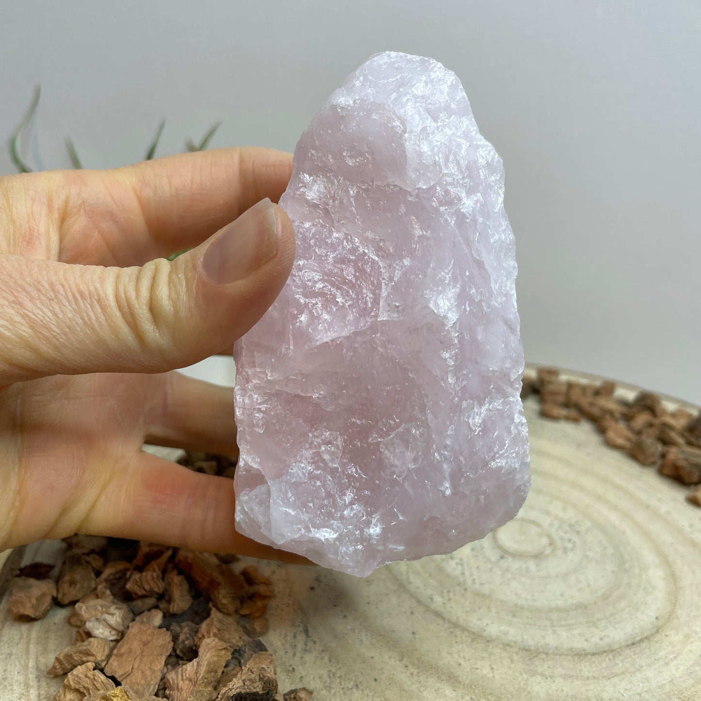 Rozenkwarts cut base nr.2