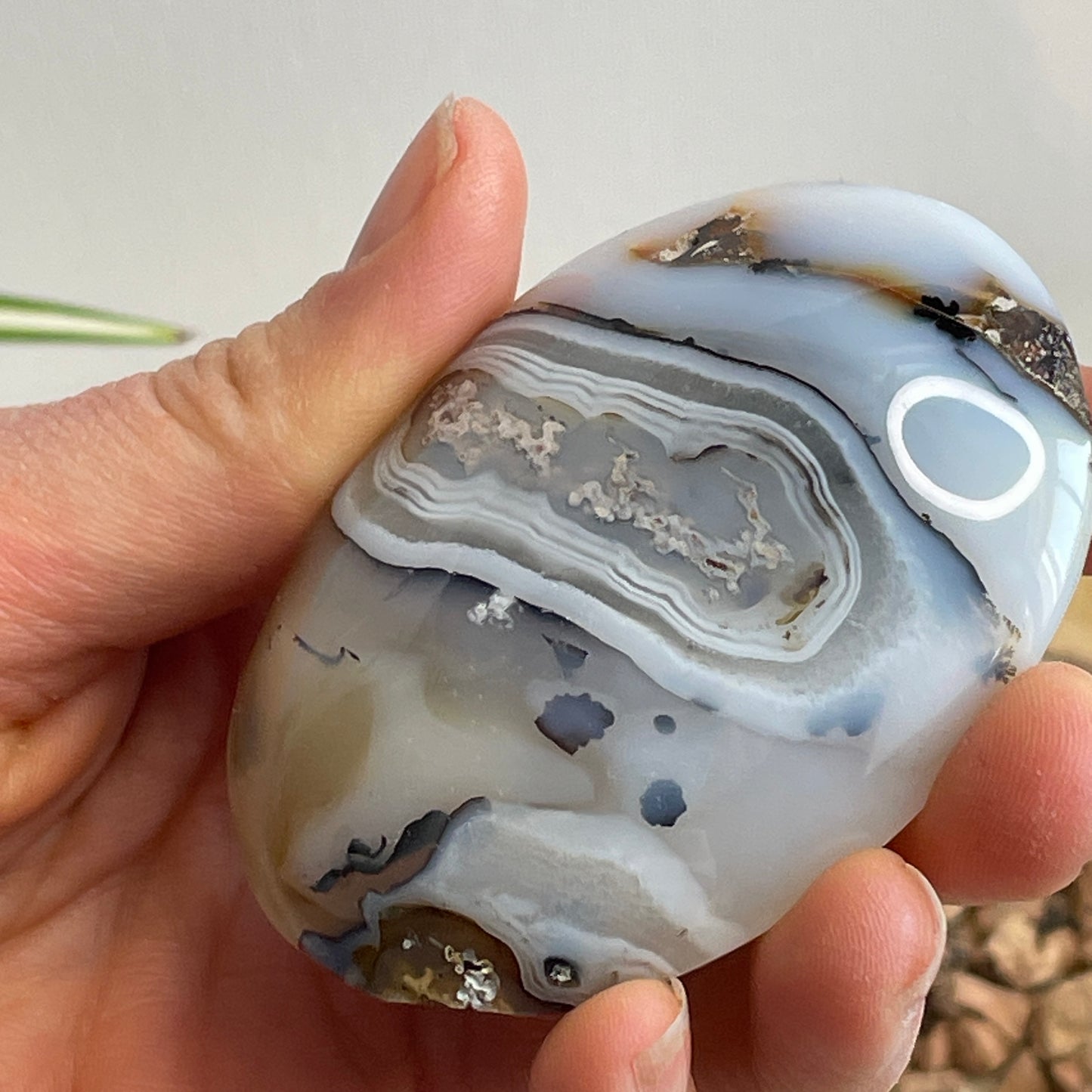 Dendriet Agaat handsteen nr. 5