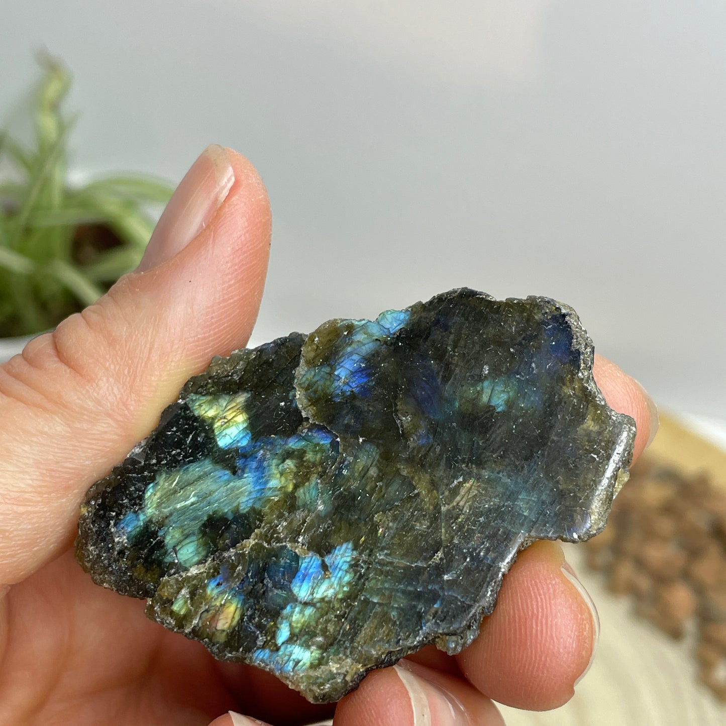 Labradoriet ruw/gepolijst nr.8