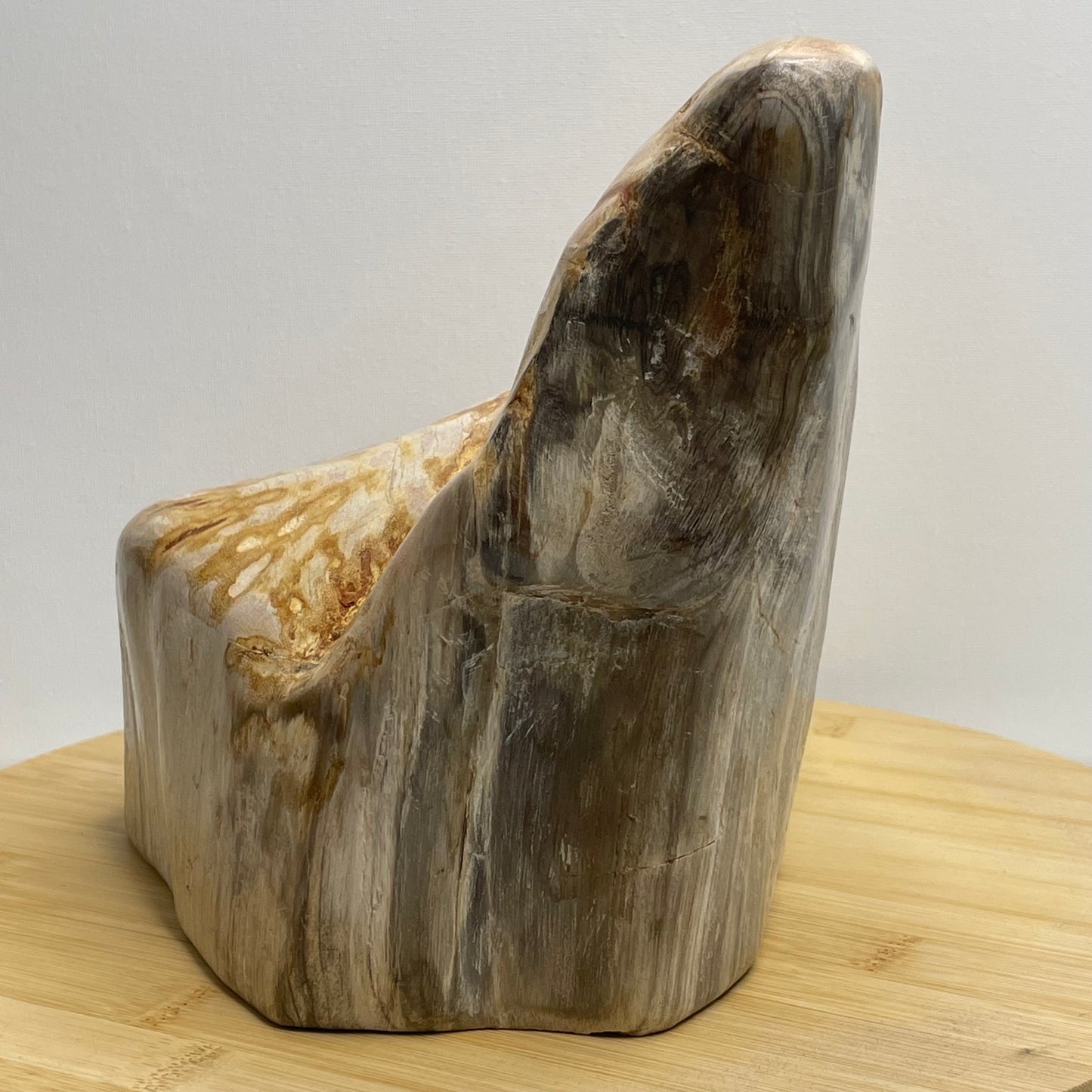Versteend hout sculptuur nr.1