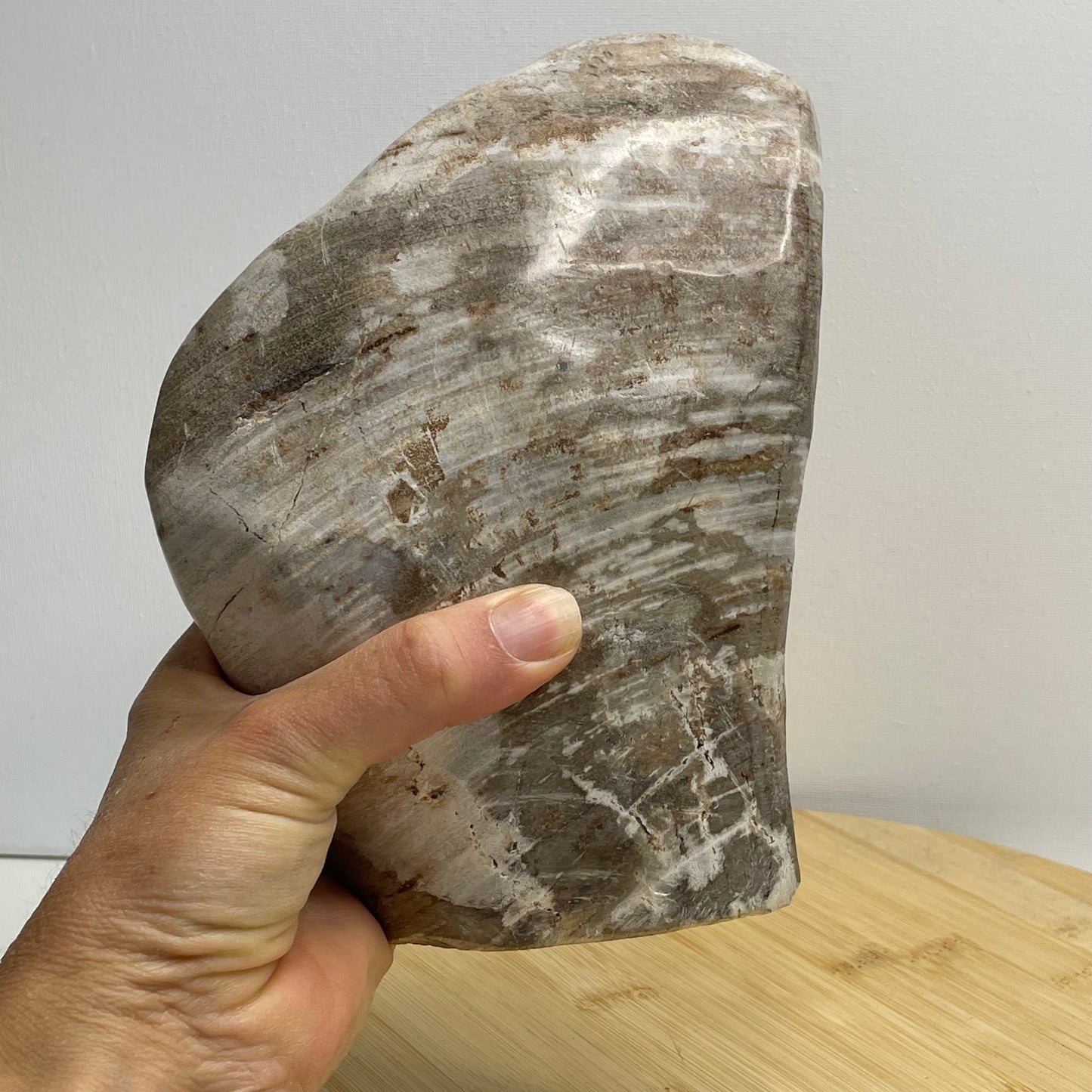 Versteend hout sculptuur nr.3