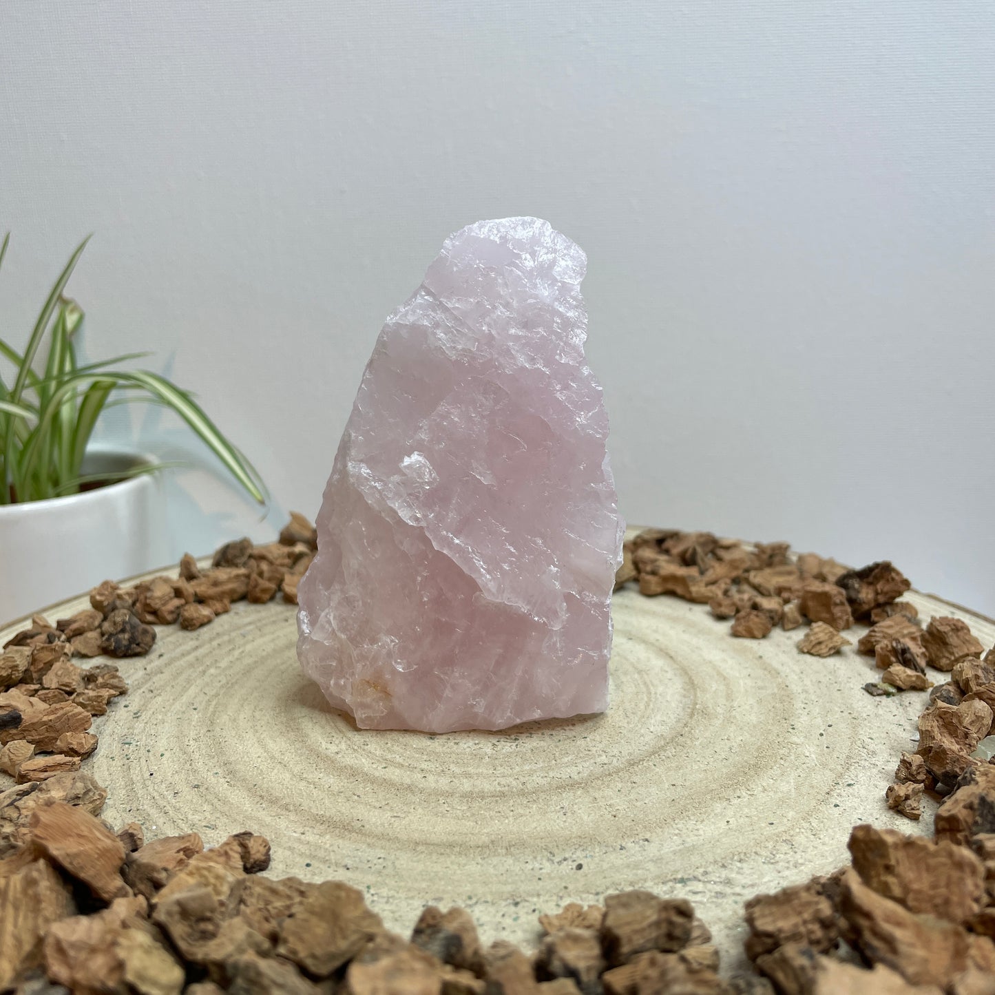 Rozenkwarts cut base nr.2