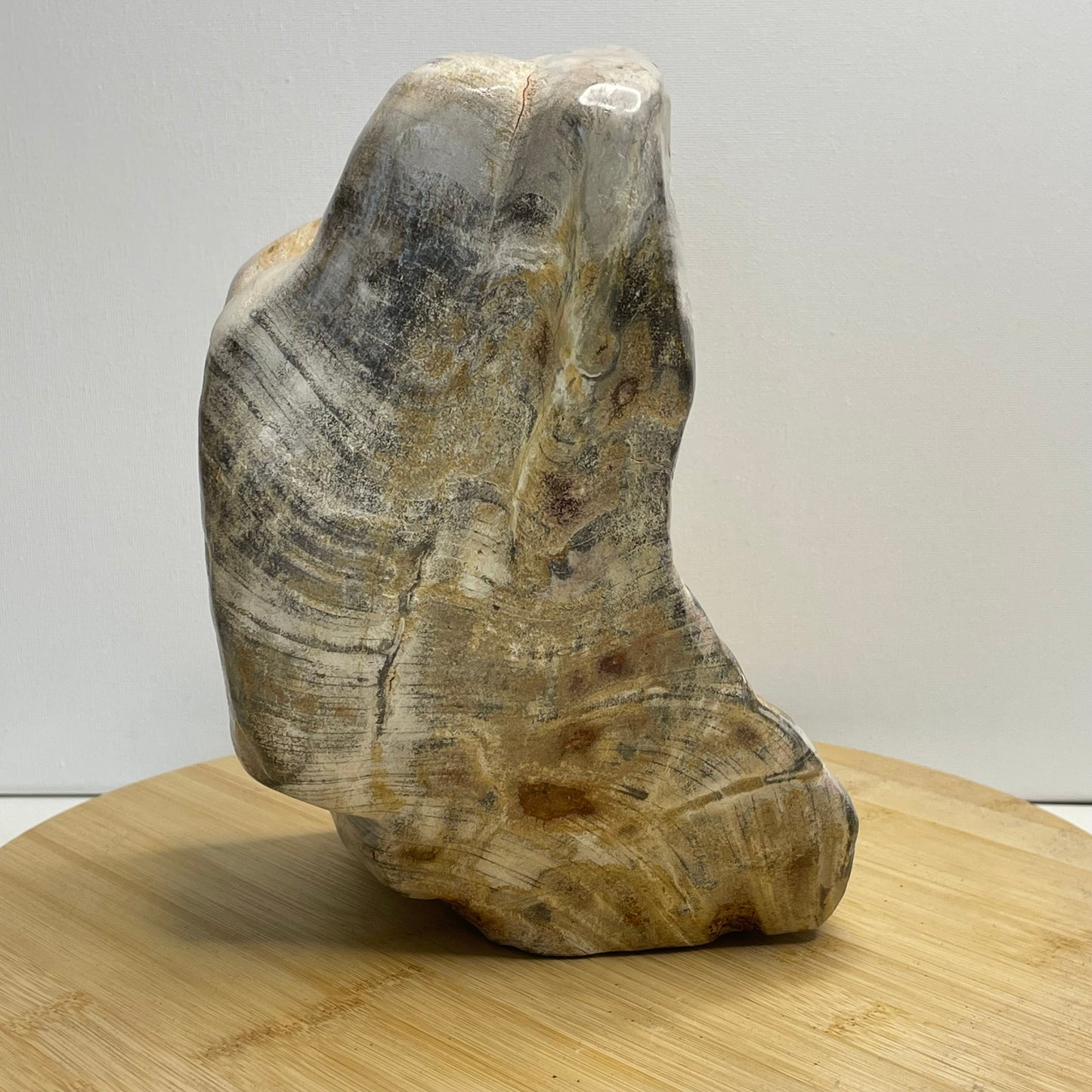 Versteend hout sculptuur nr.2