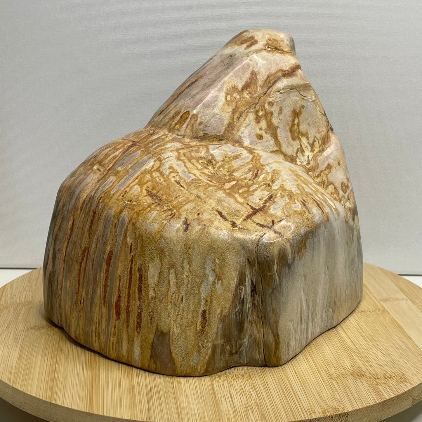 Versteend hout sculptuur nr.1