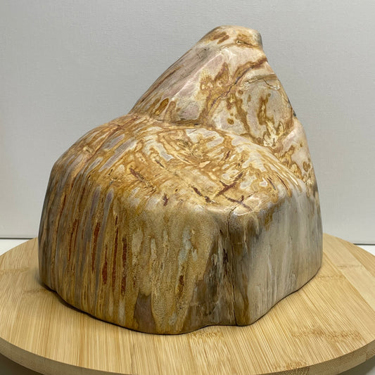 Versteend hout sculptuur nr.1