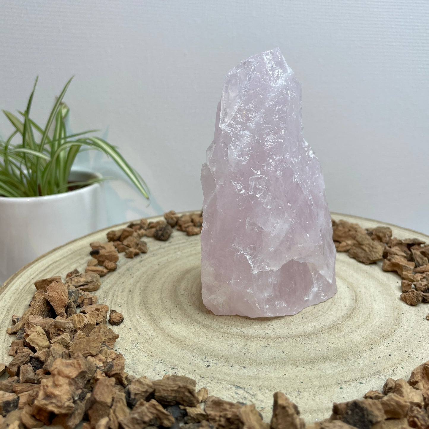 Rozenkwarts cut base nr.1