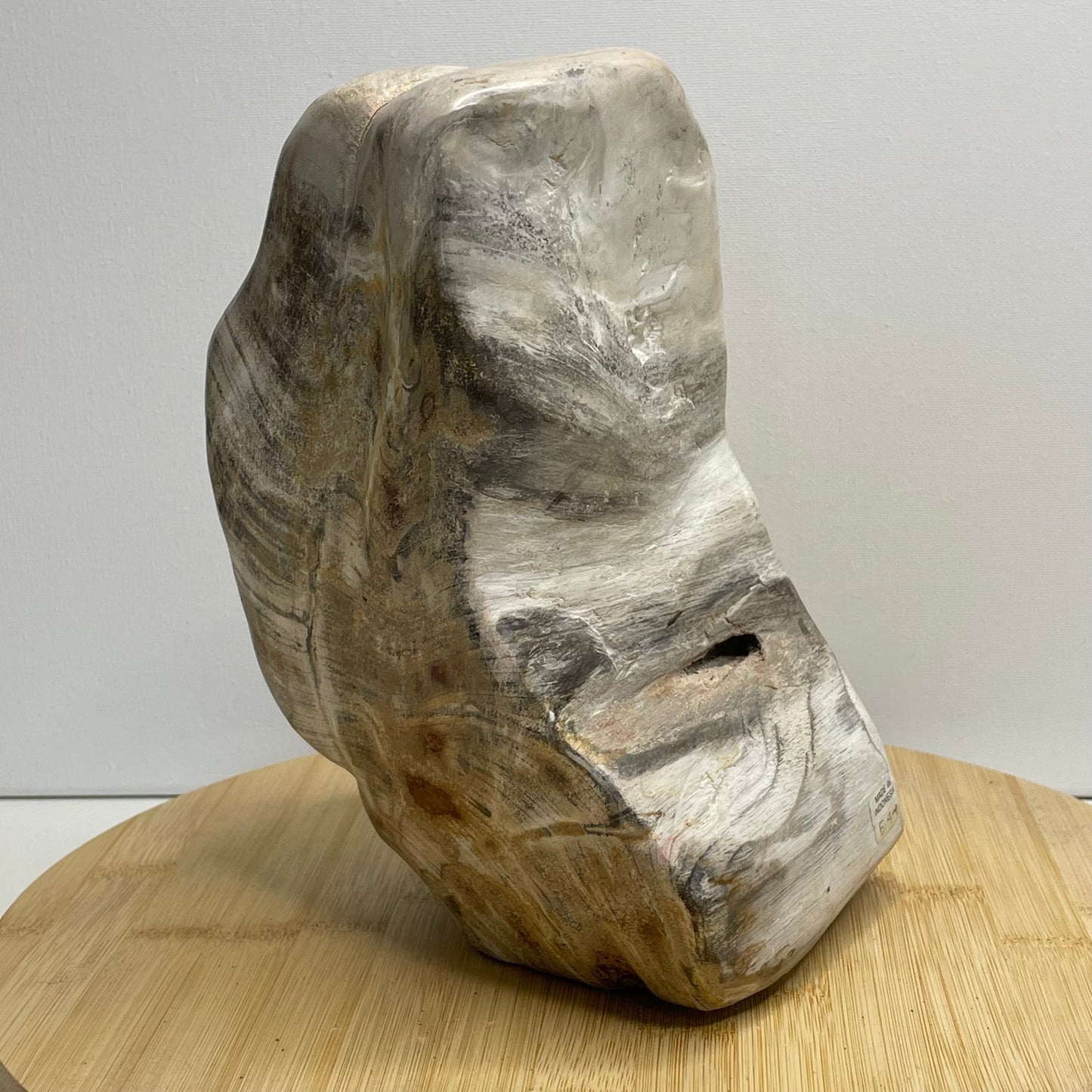 Versteend hout sculptuur nr.2