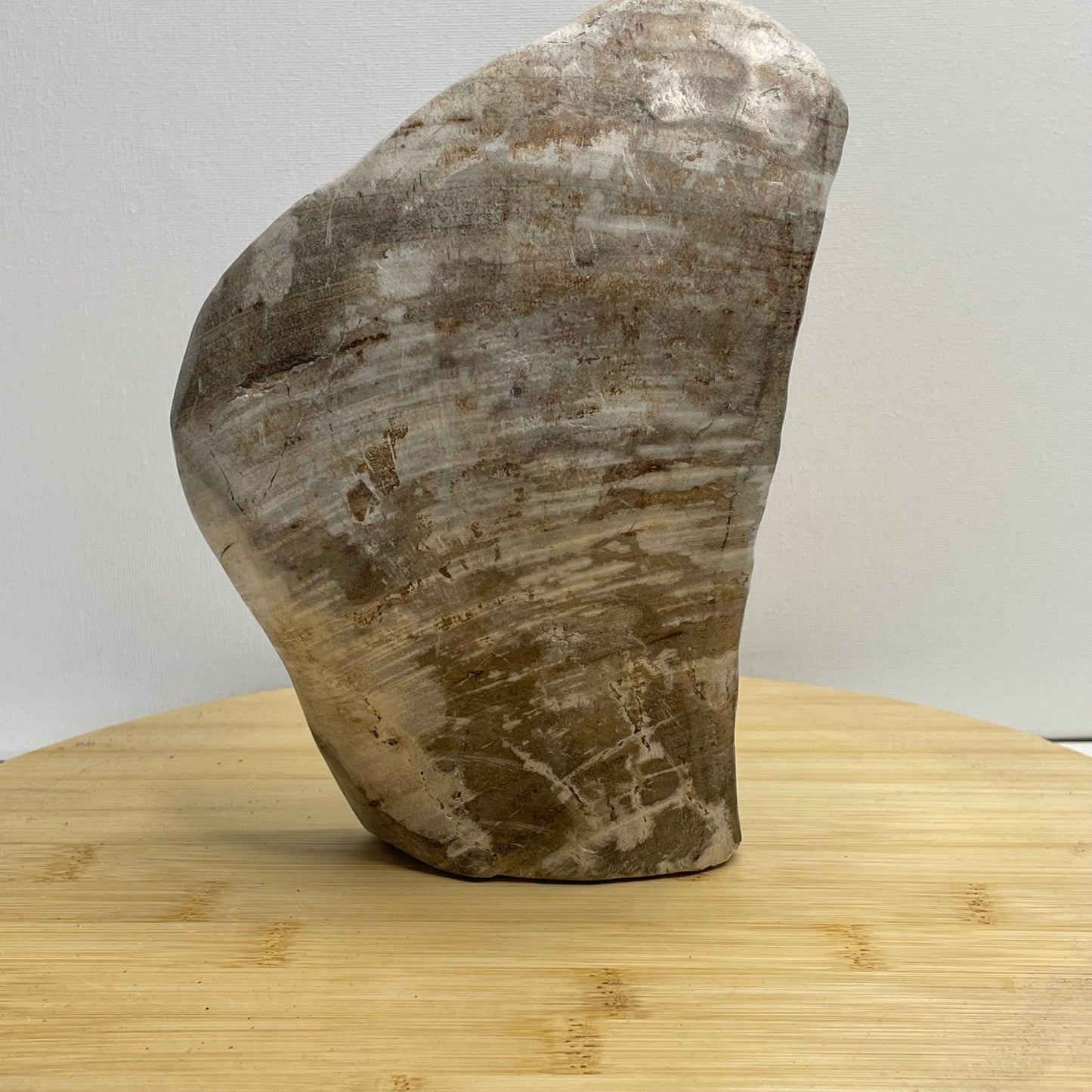 Versteend hout sculptuur nr.3