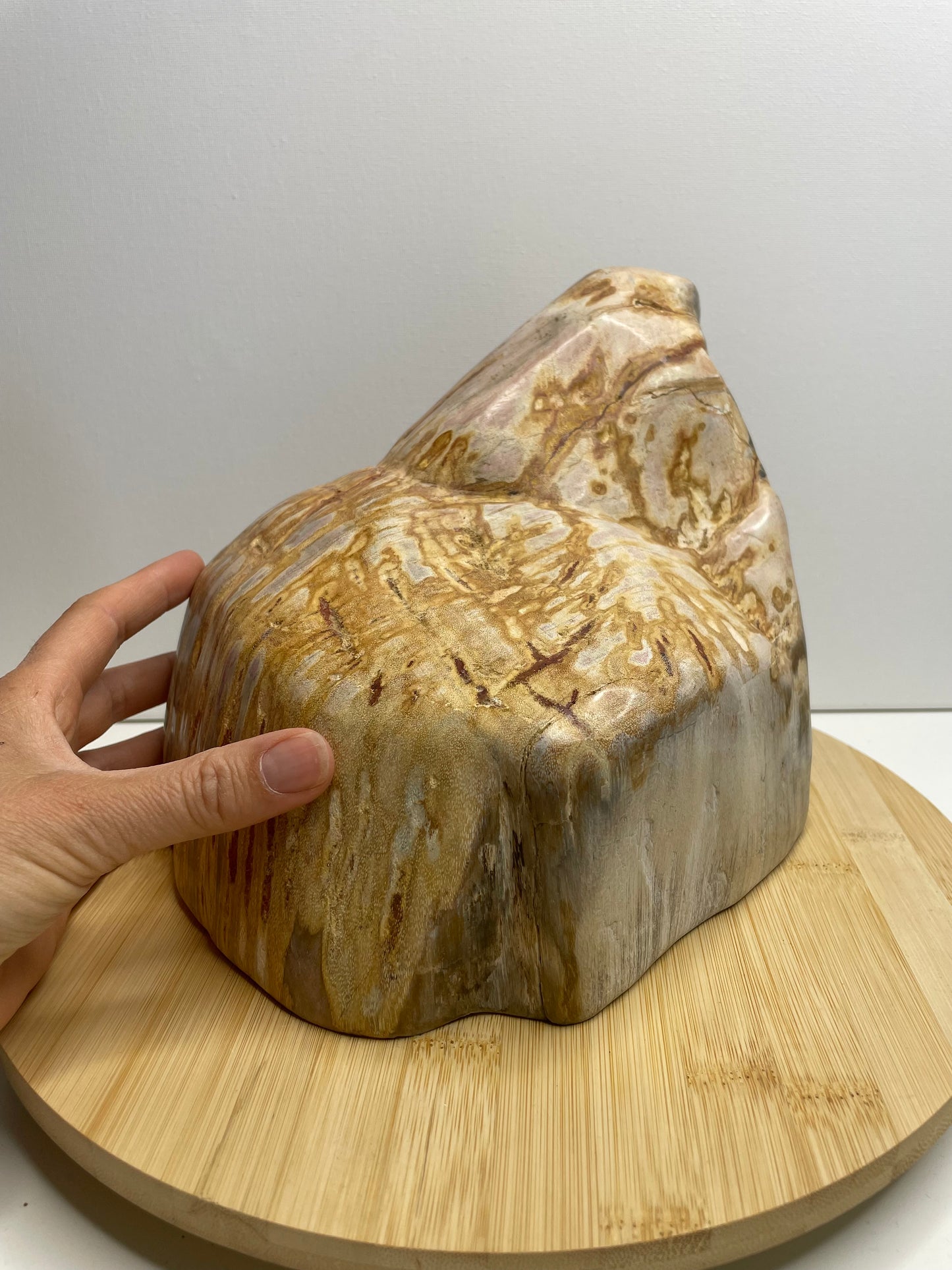 Versteend hout sculptuur nr.1