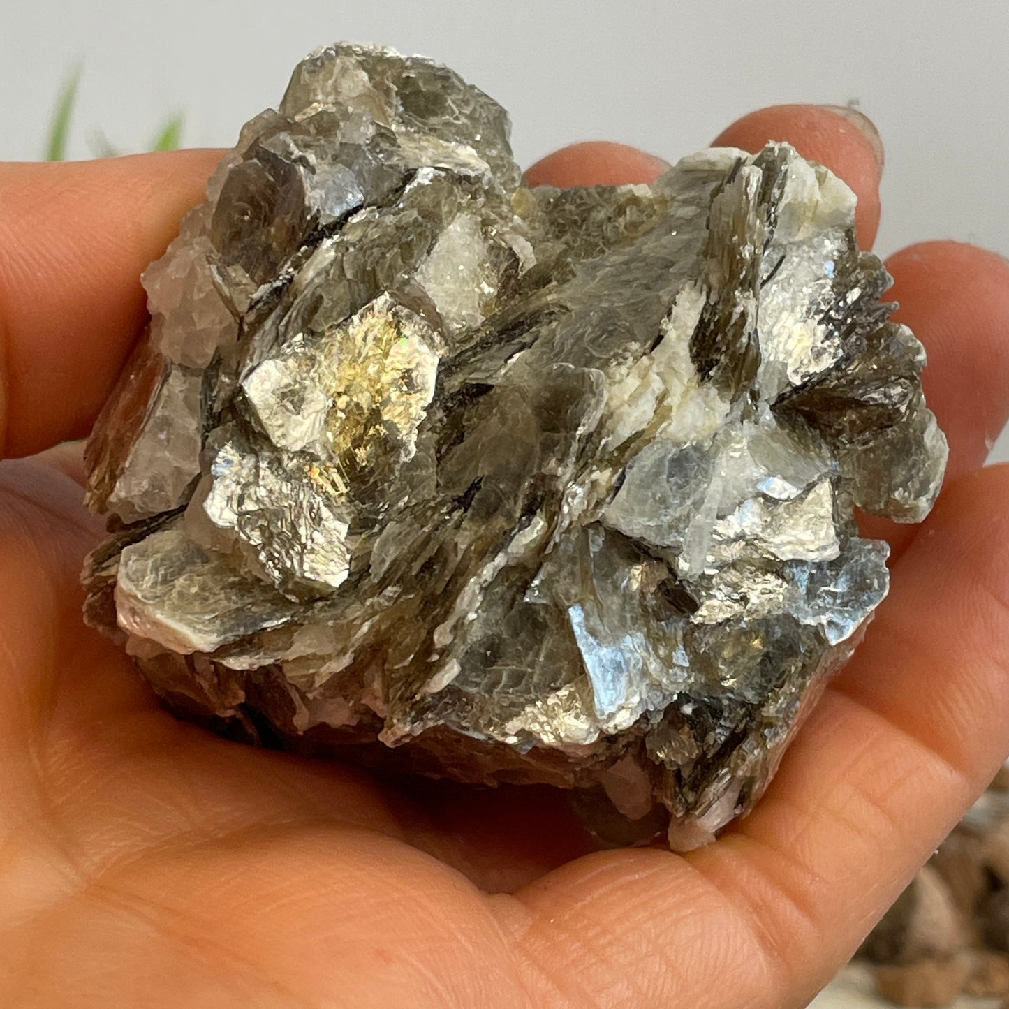 Muscoviet cluster nr.2